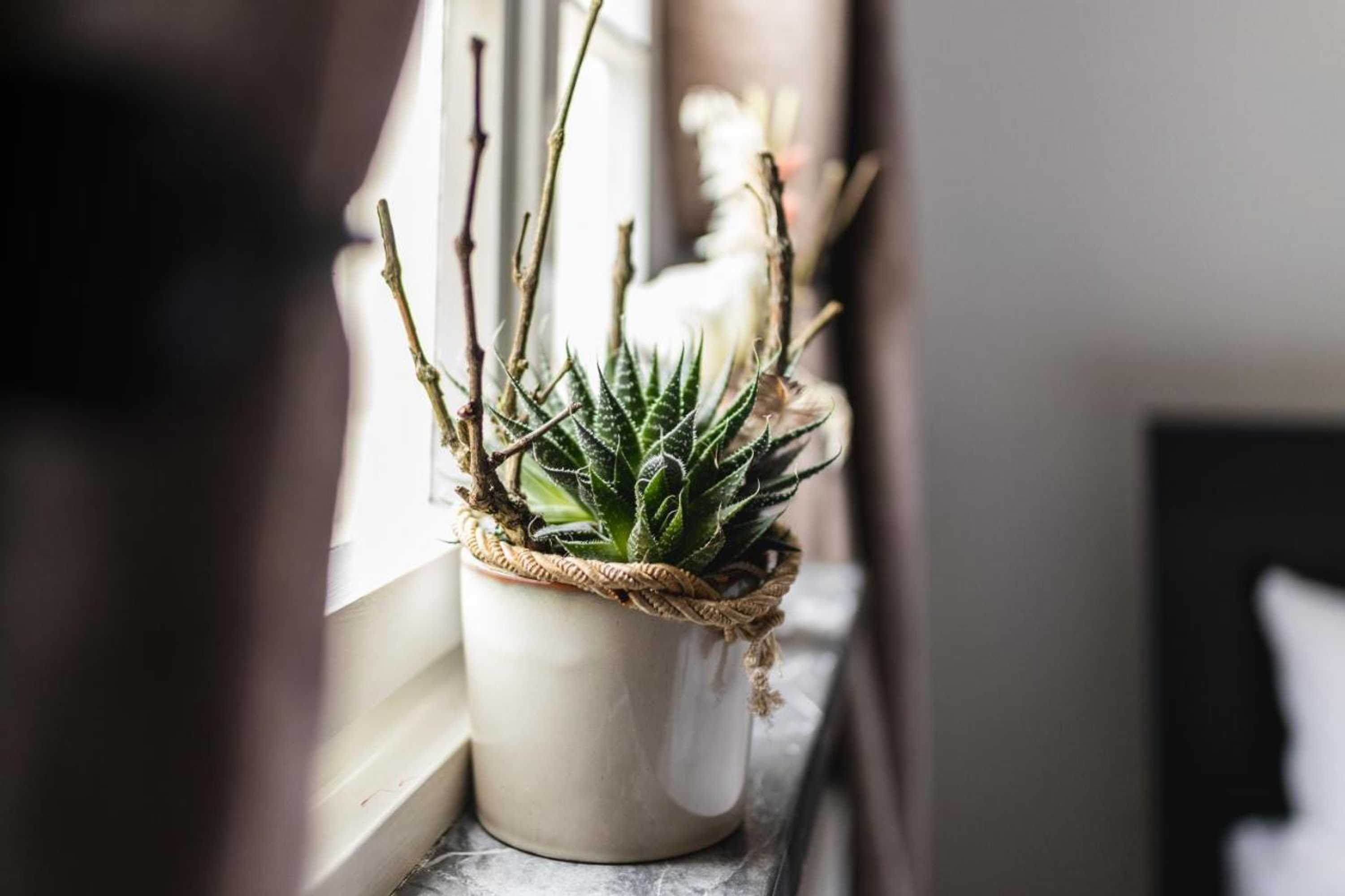 Gift card for Zur Alten Weinkelter - Bezauberndes Fachwerkhaus Aus Der Spätgotik - 500 Jahre Alt