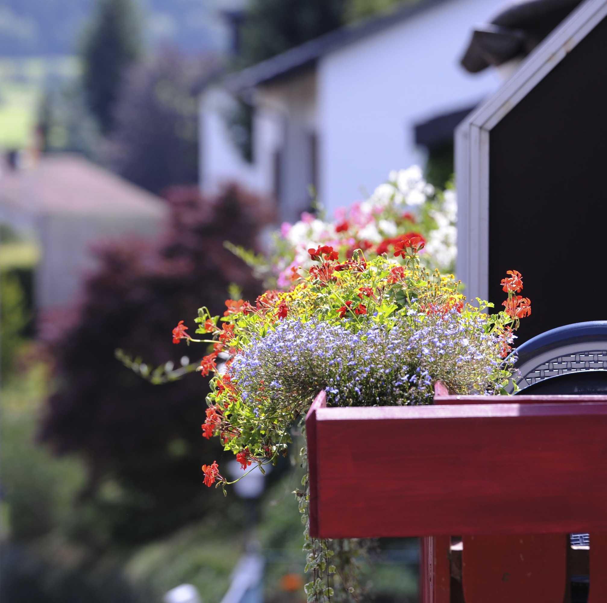 Gift card for Hotel an Der Sonne & Restaurant Zum Schneiger Gift card for Hotel an Der Sonne & Restaurant Zum Schneiger