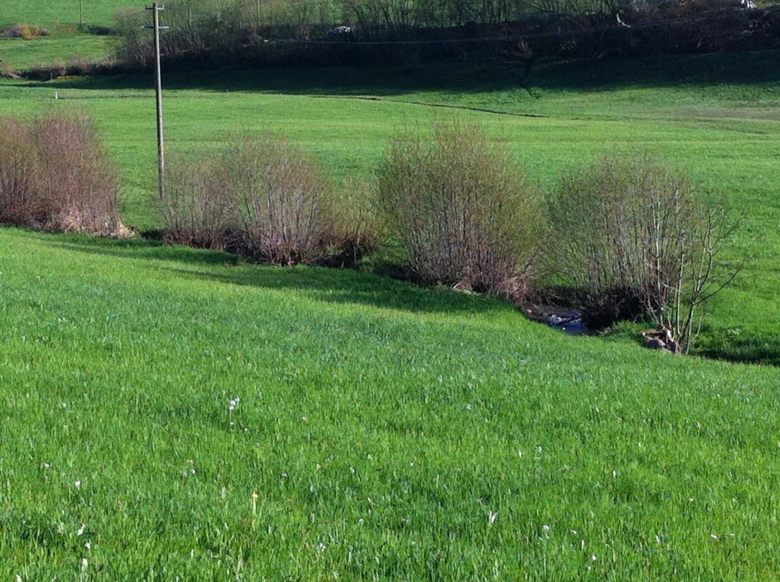 Gift card for Richebächli