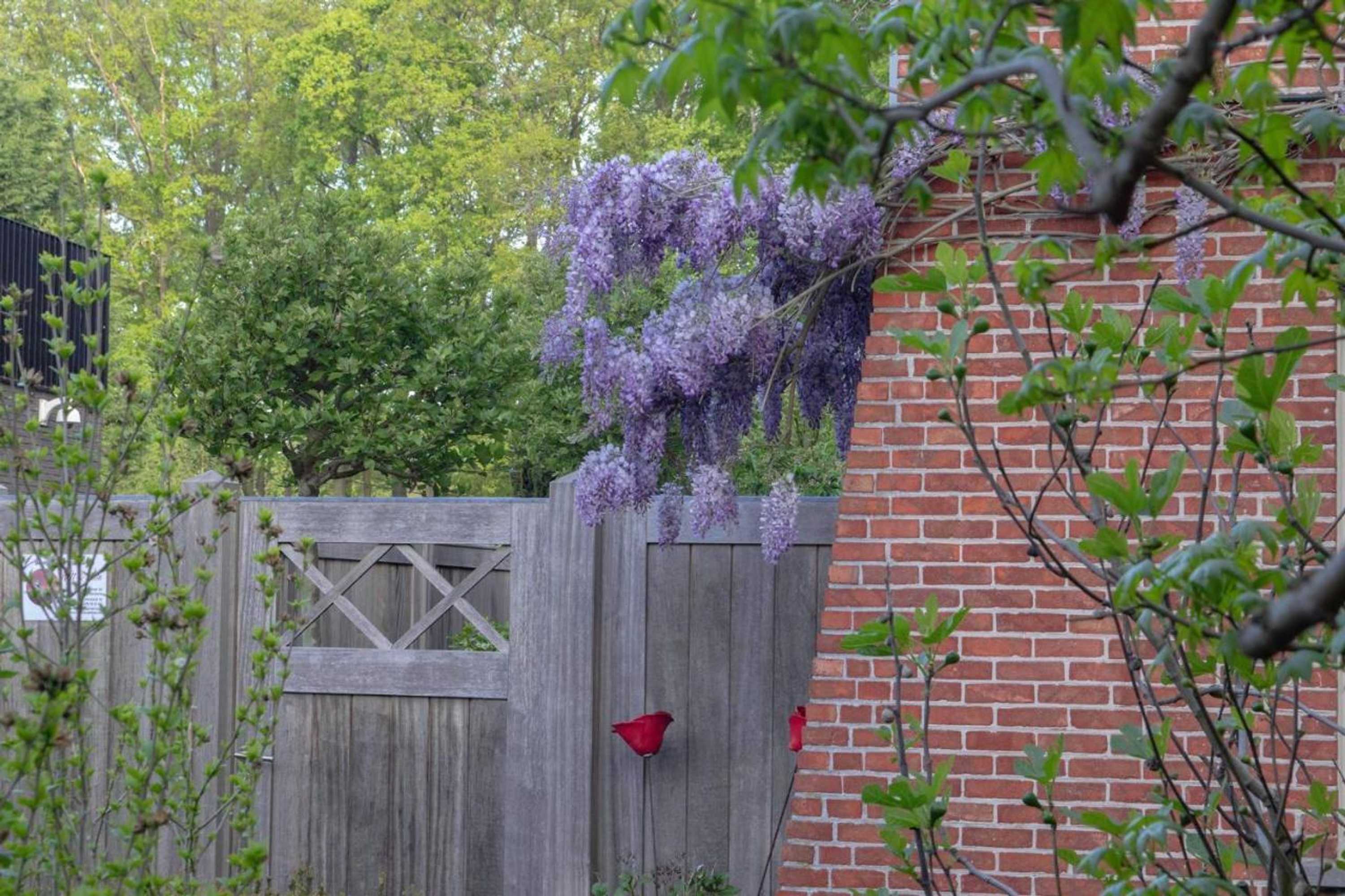 Gift card for Beeltjens B&b: Wolf&belle