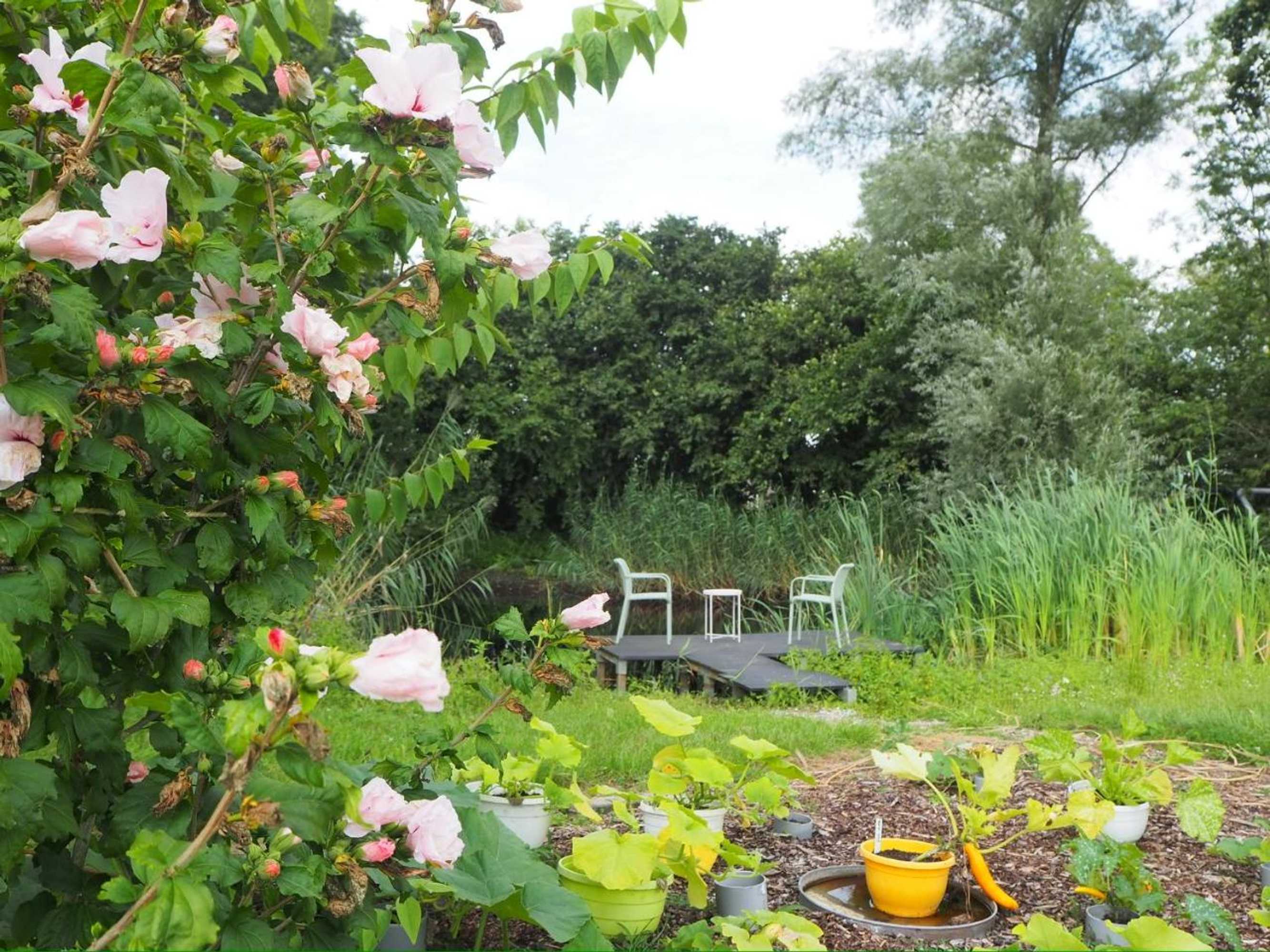 Gift card for Bnb De Peelvos