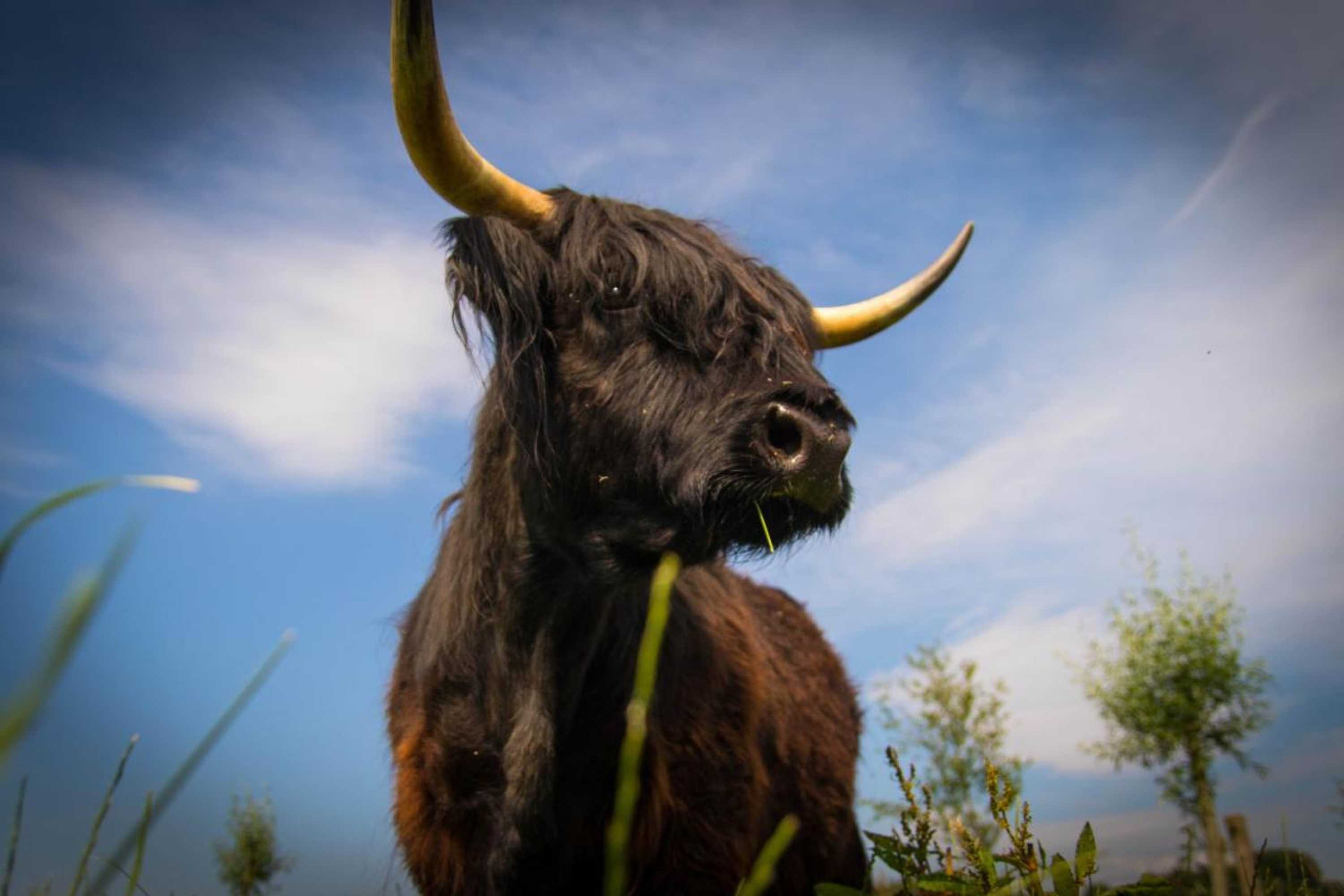 Gift card for Bed & Breakfast Bos en Weide