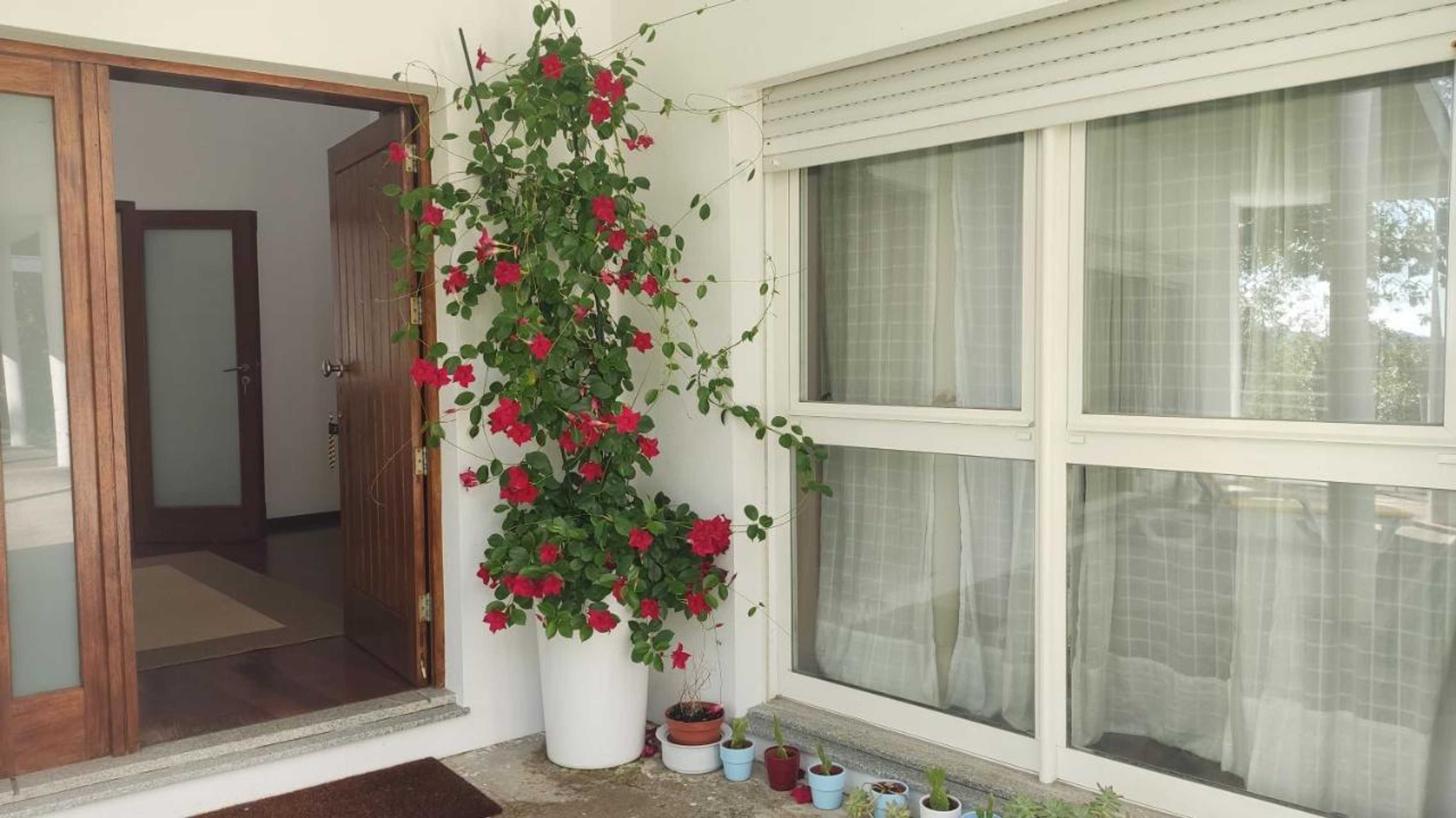 Gift card for Casa de Apeleiras Gift card for Casa de Apeleiras