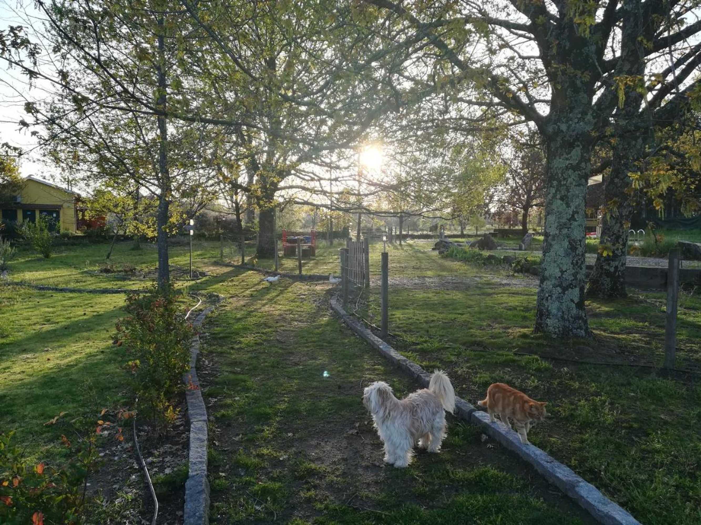 Gift card for Casa Das Palmeiras - Pedagogic Farm Gift card for Casa Das Palmeiras - Pedagogic Farm