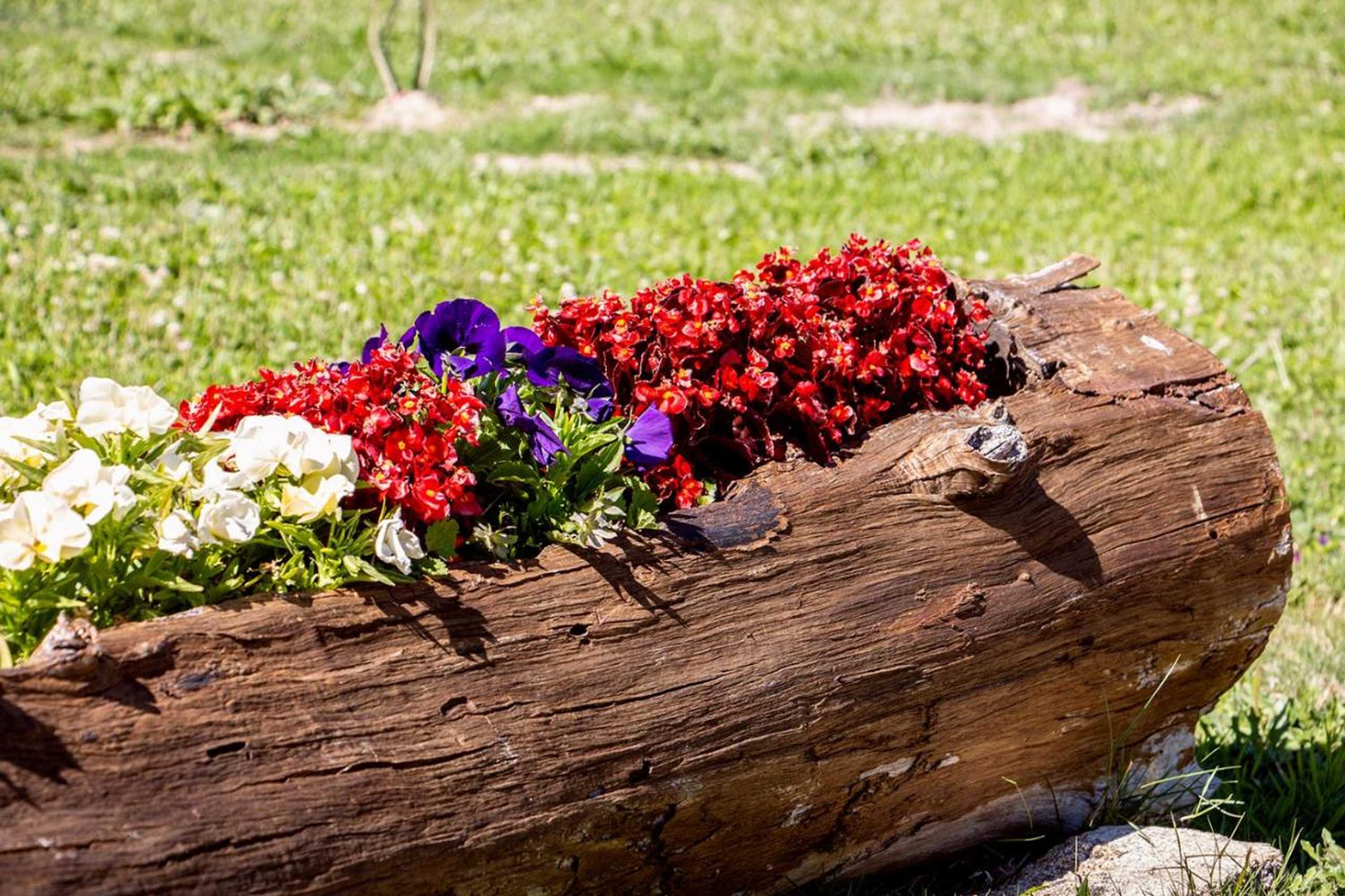 Gift card for Casa da Mina