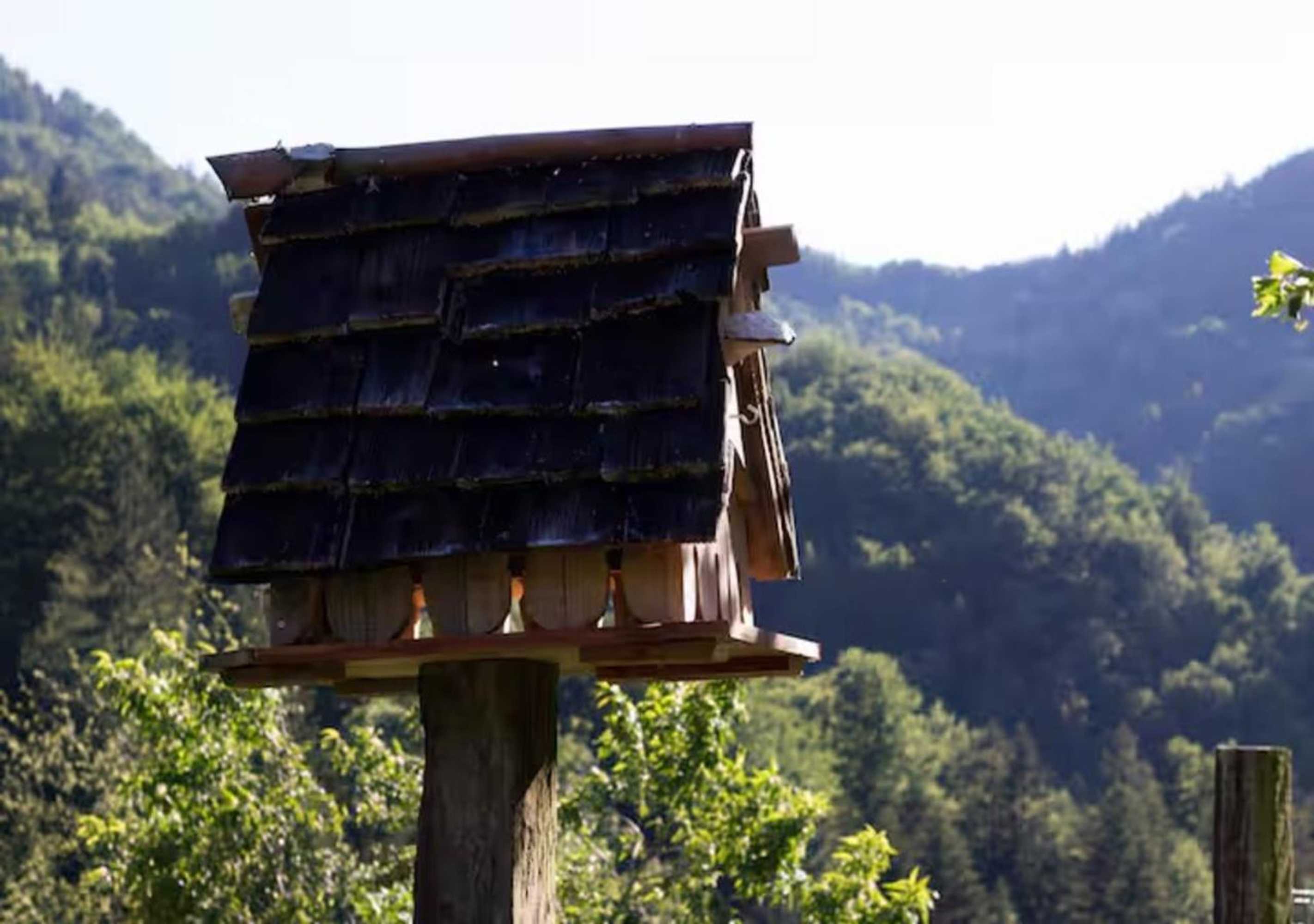 Gift card for Turistična Kmetija Weiss
