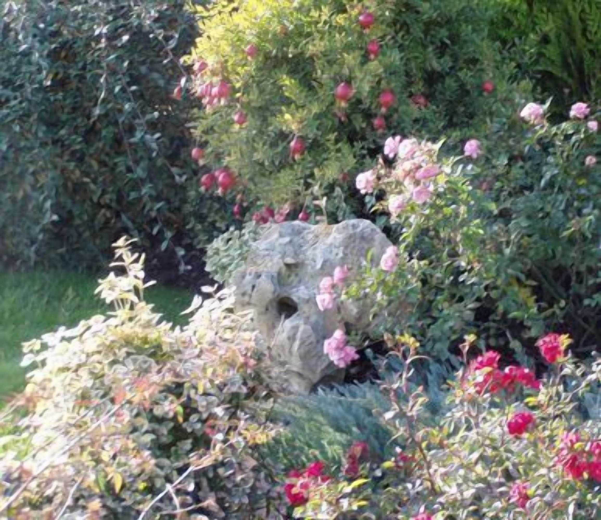 Gift card for Alla Corte Del Picchio