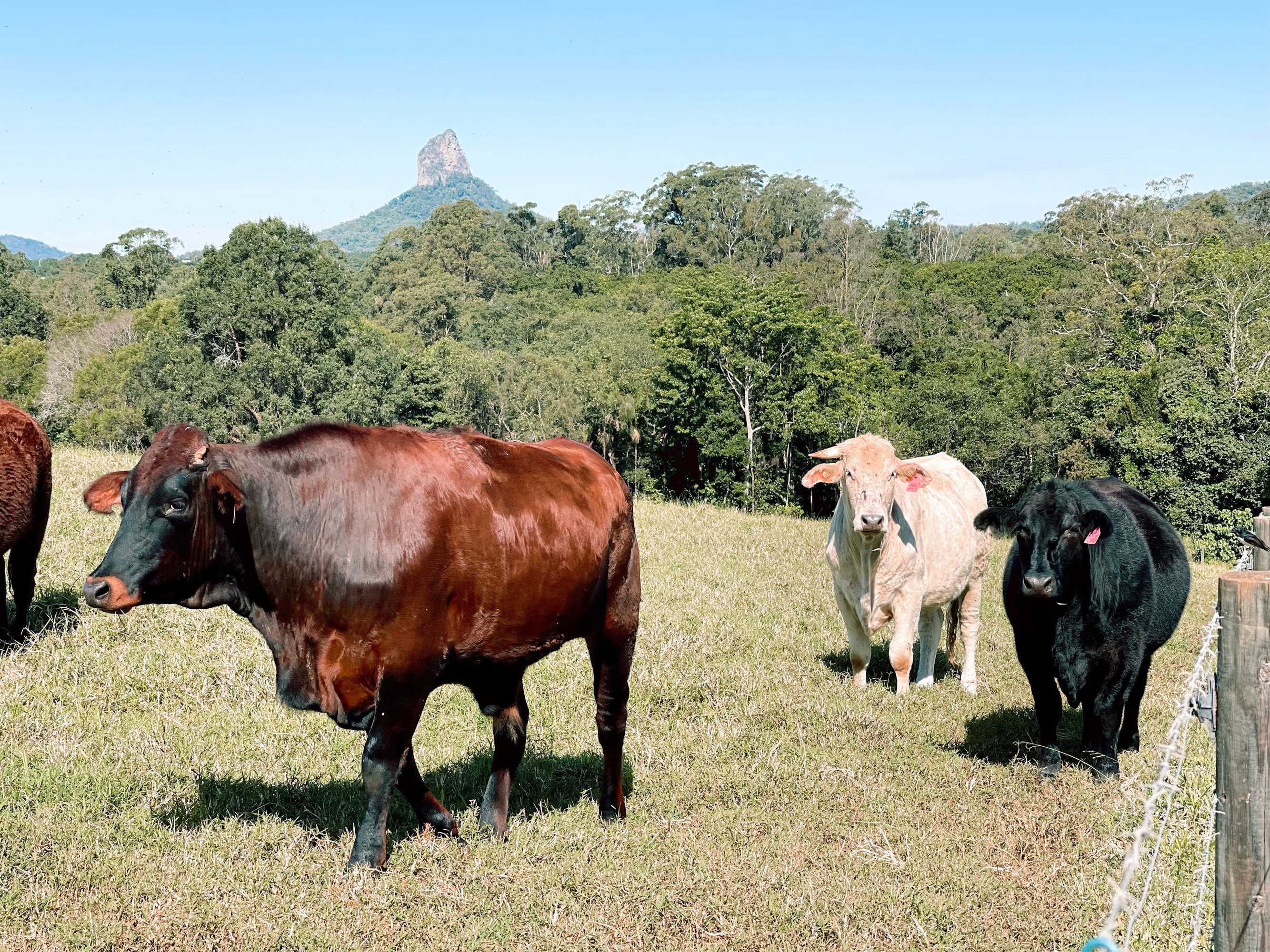 Gift card for Seven Peaks Farm Stay