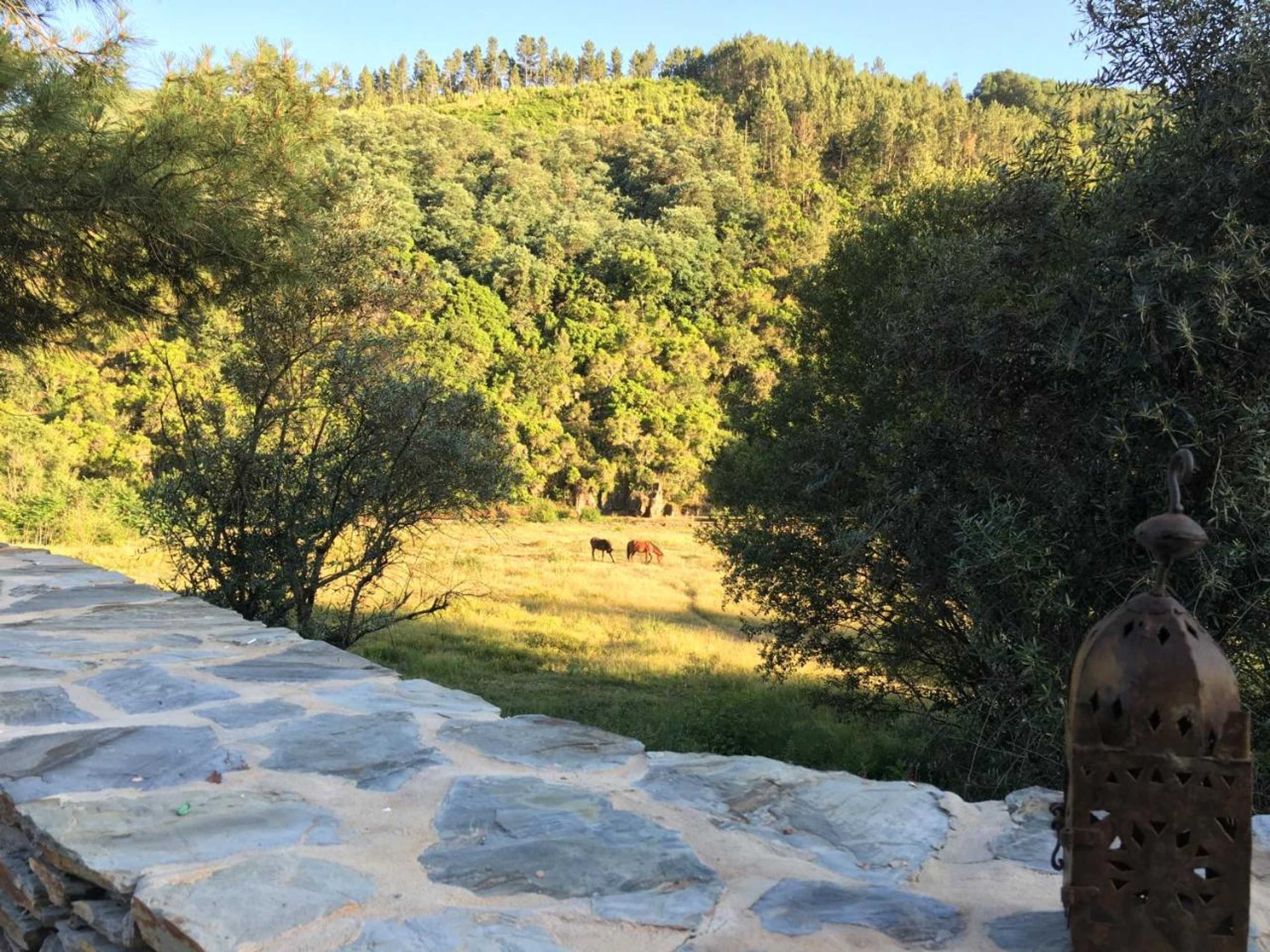 Gift card for Quinta Das Levadas - Country House & Nature Gift card for Quinta Das Levadas - Country House & Nature