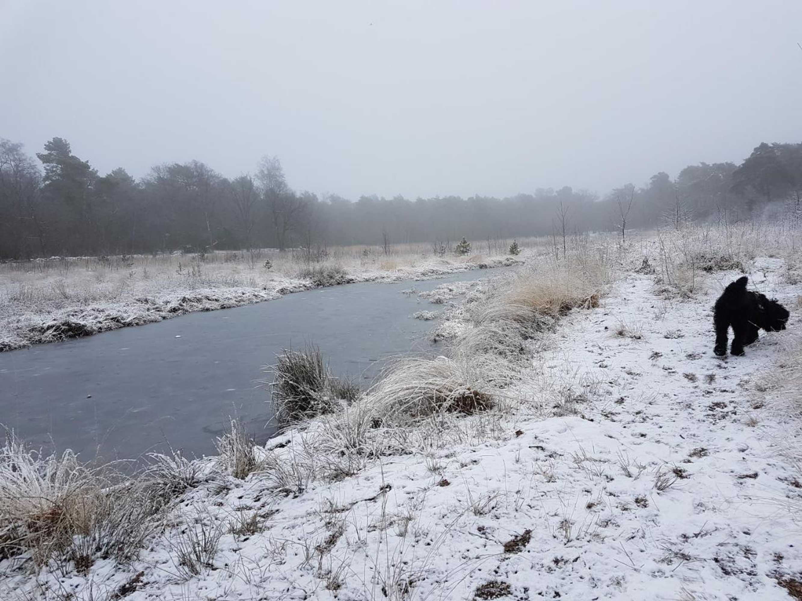 Gift card for De Heidestroper