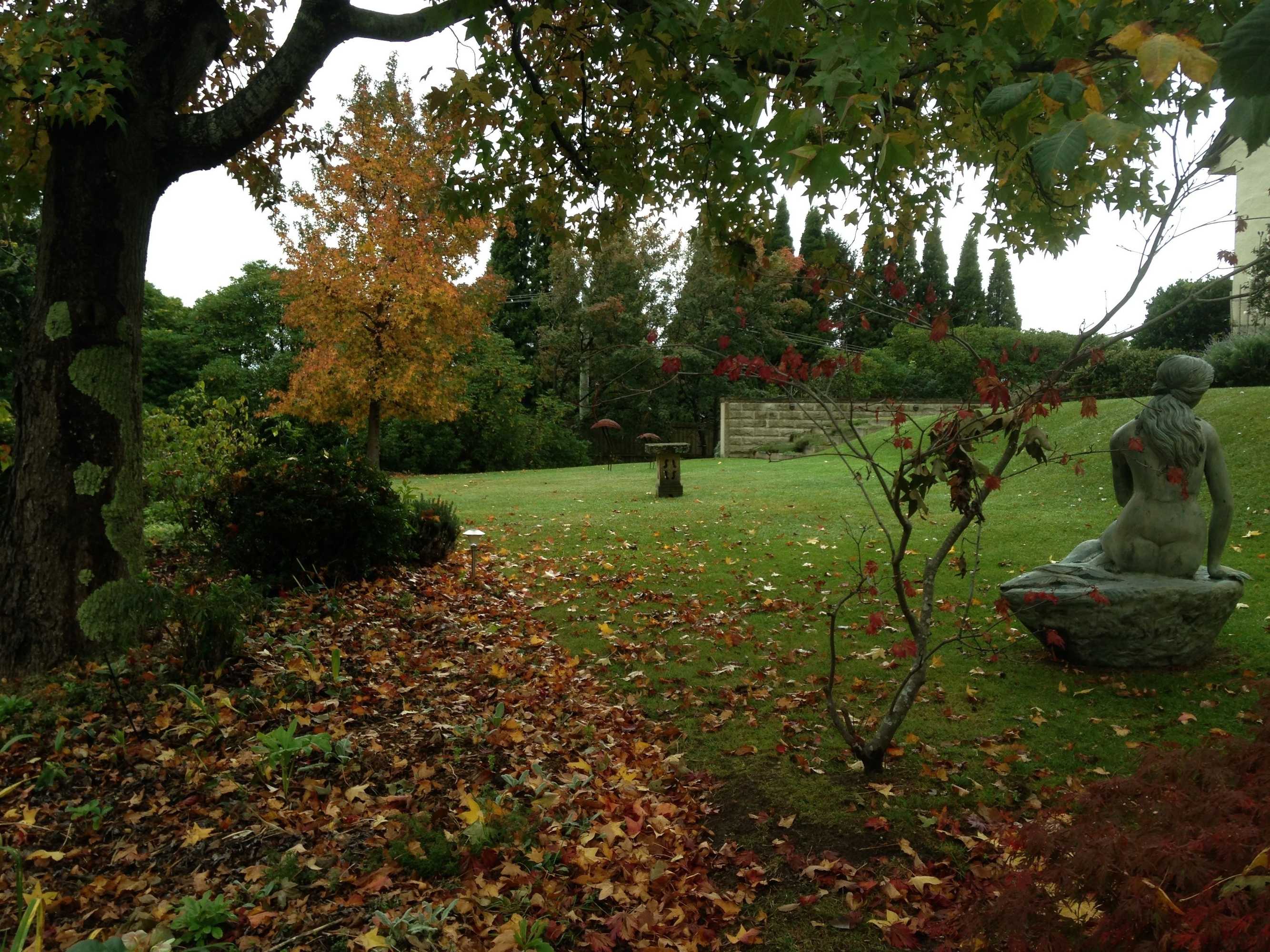 Gift card for Silvermere