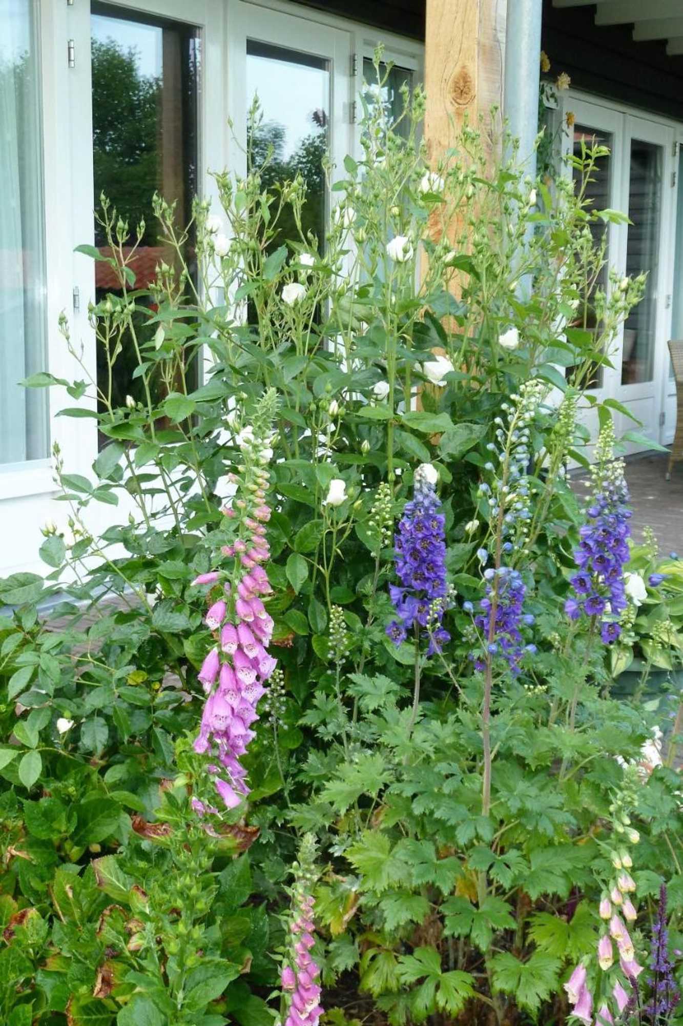 Gift card for Bed&breakfast Hoornaar