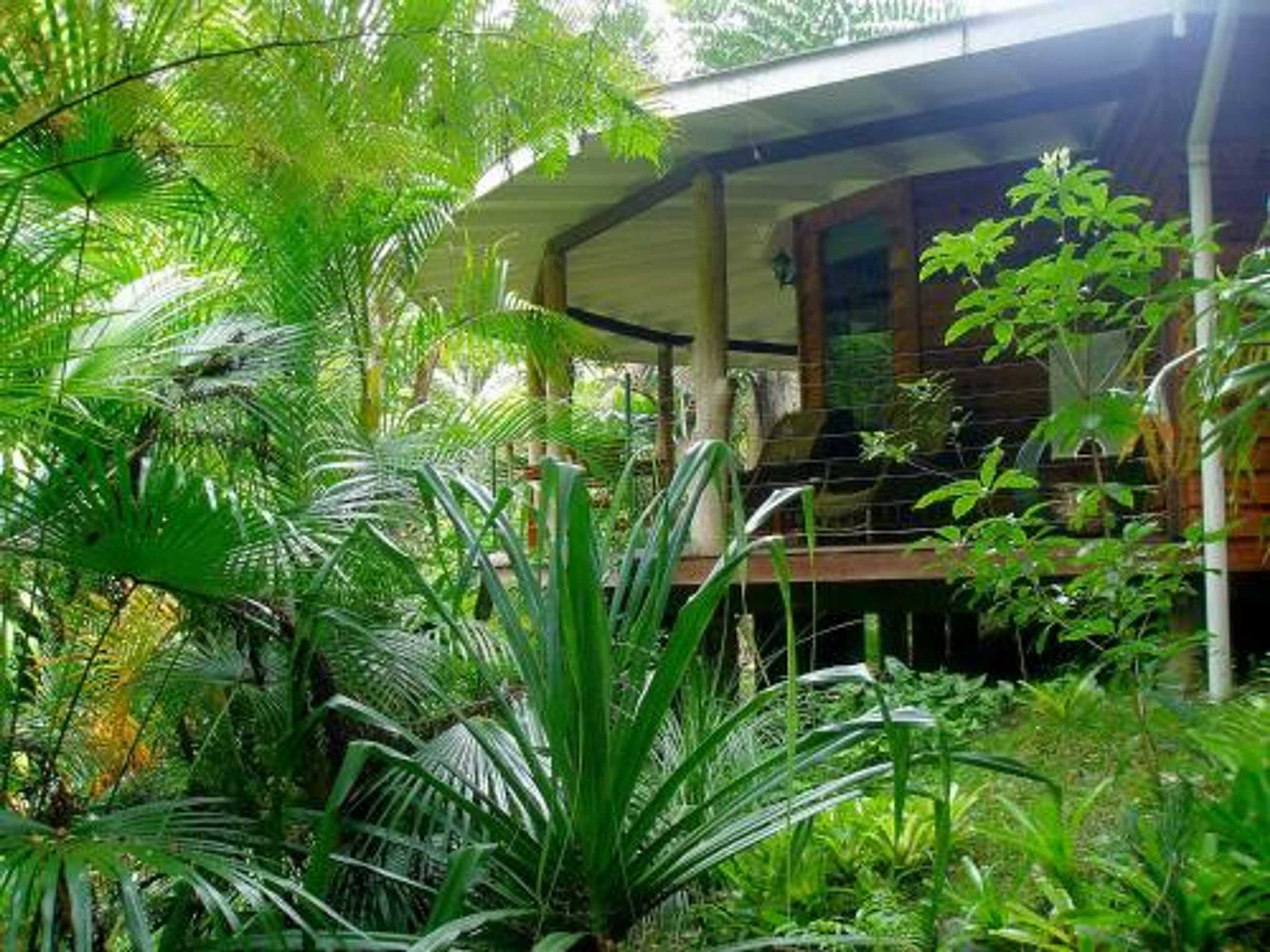 Gift card for Wollumbin Palms Rainforest Retreat Gift card for Wollumbin Palms Rainforest Retreat