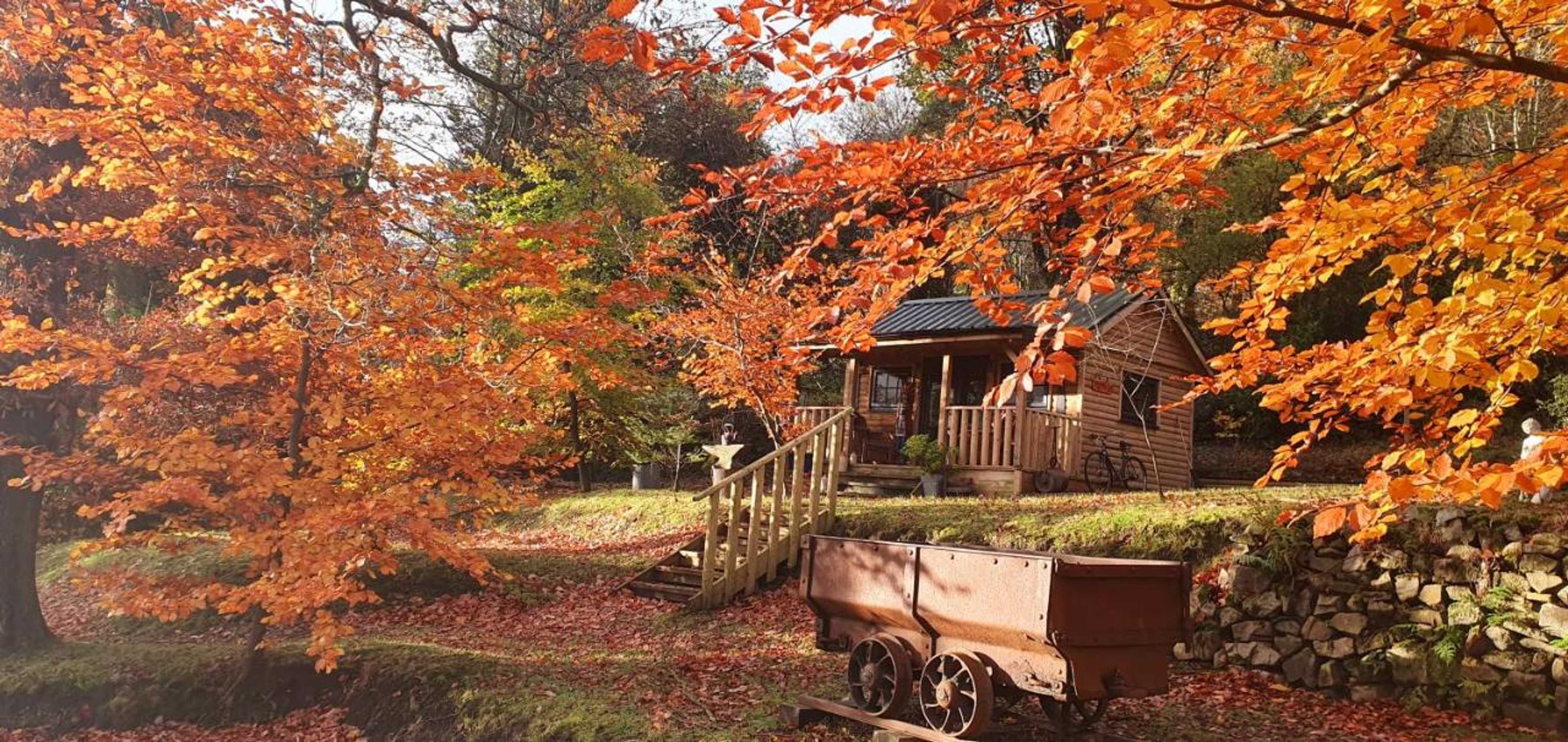 Gift card for Miners Log Cabin