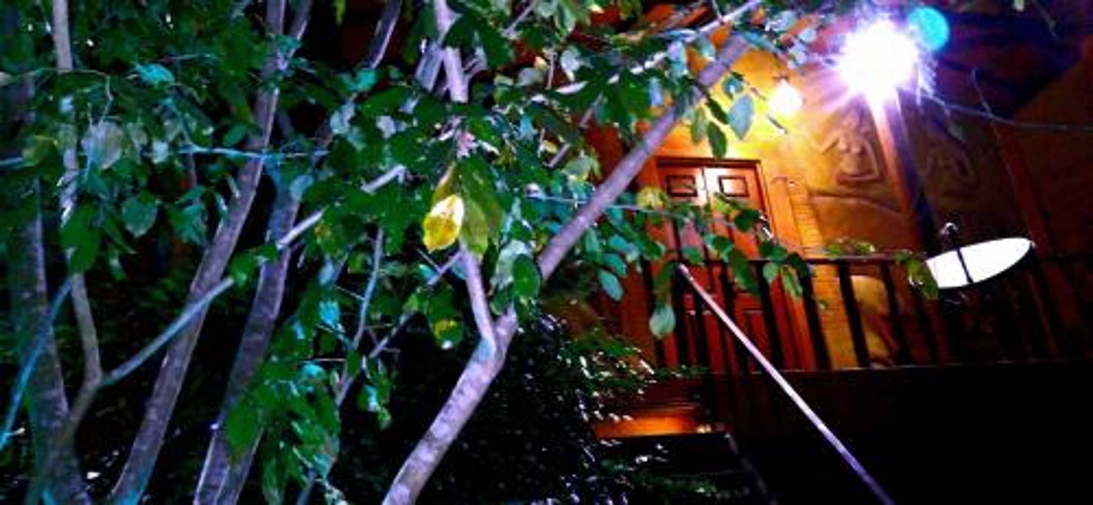 Gift card for Luck Uyana Cabana Pinnawala Gift card for Luck Uyana Cabana Pinnawala