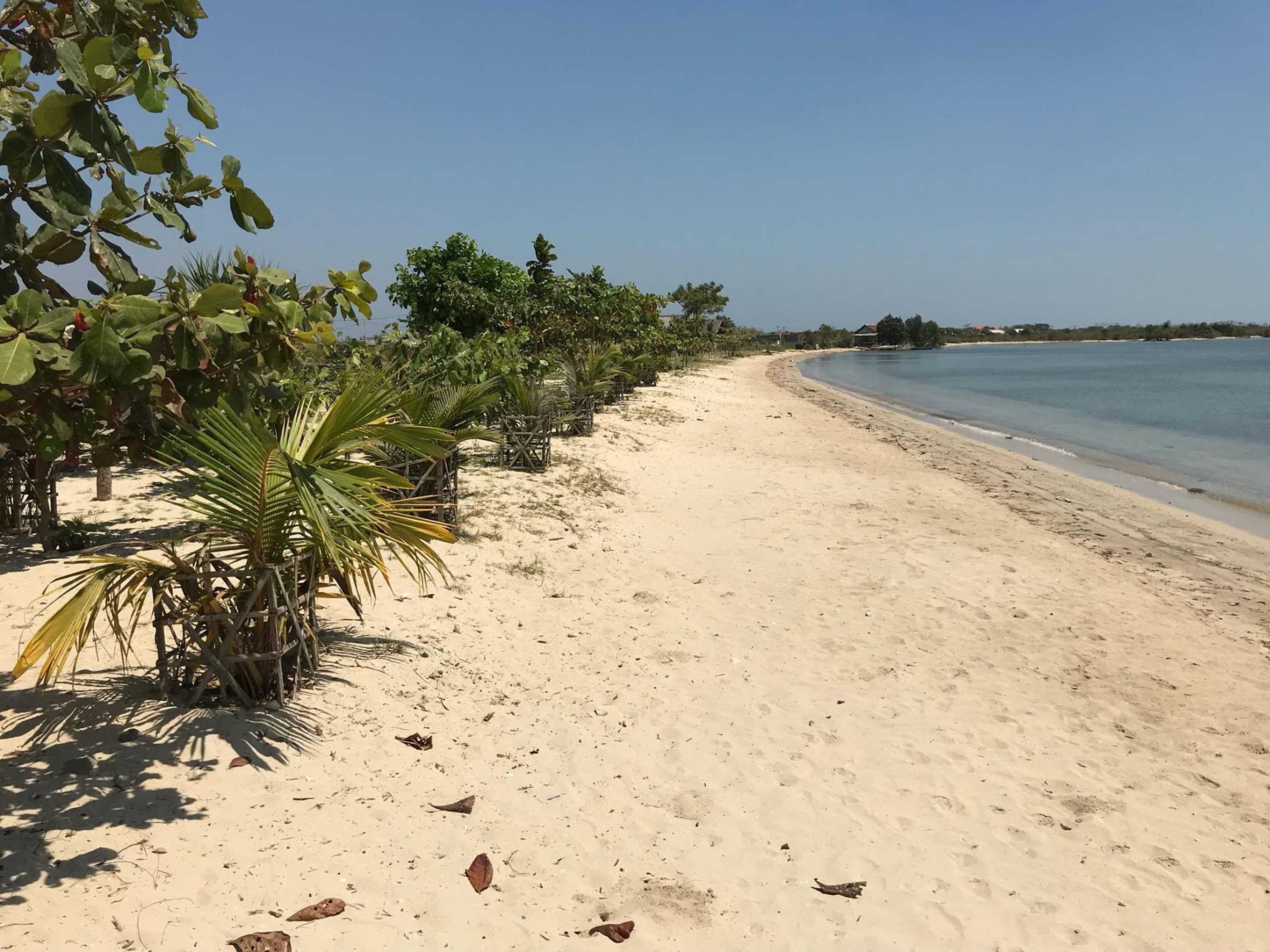 Gift card for Coconut Lodge Gift card for Coconut Lodge