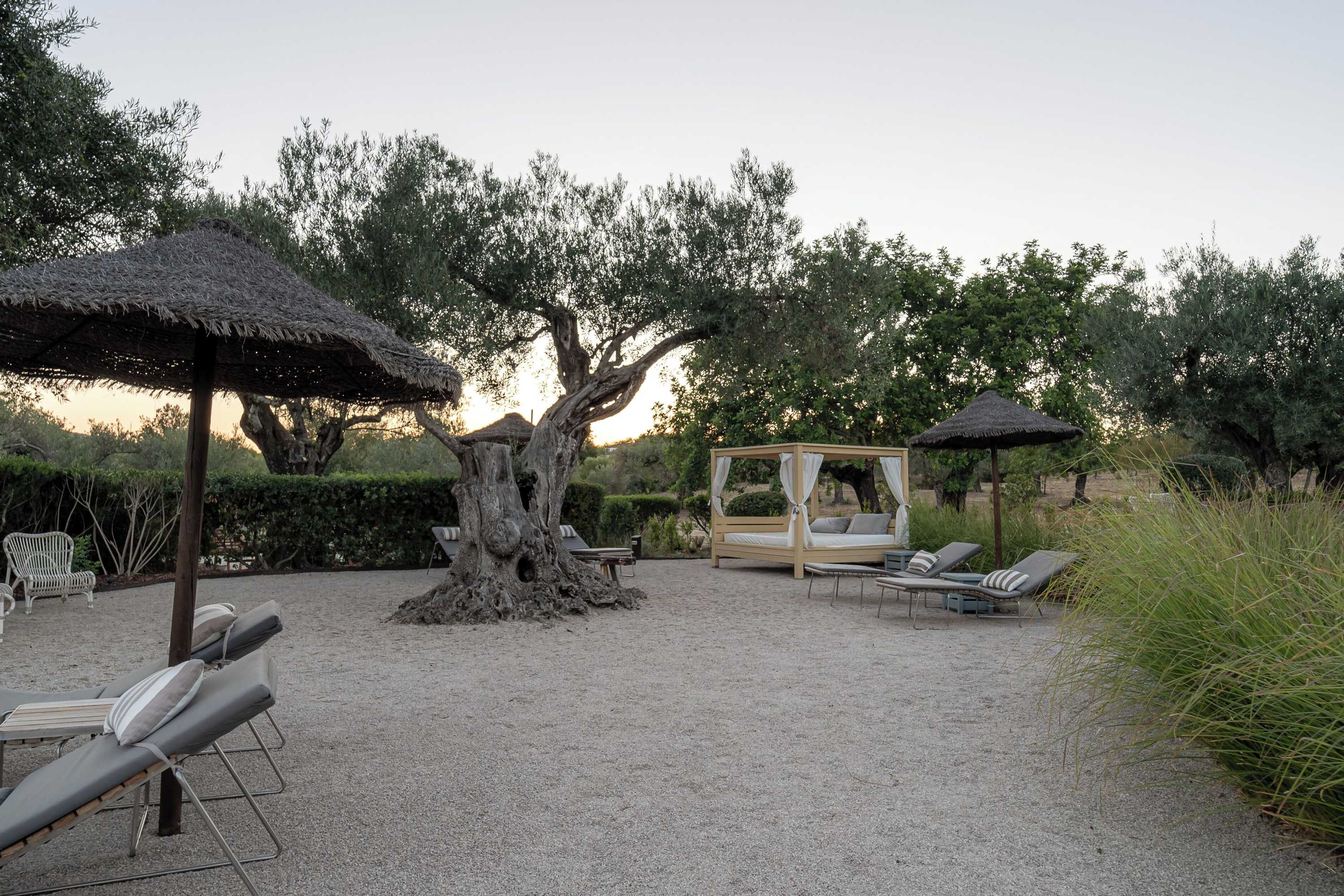 Gift card for Fazenda Nova - Country House Gift card for Fazenda Nova - Country House