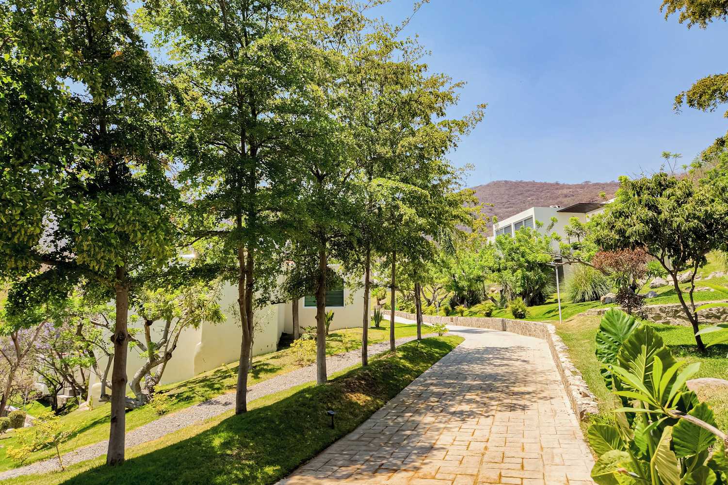 Gift card for Memora Hotel & Villas Chapala Gift card for Memora Hotel & Villas Chapala