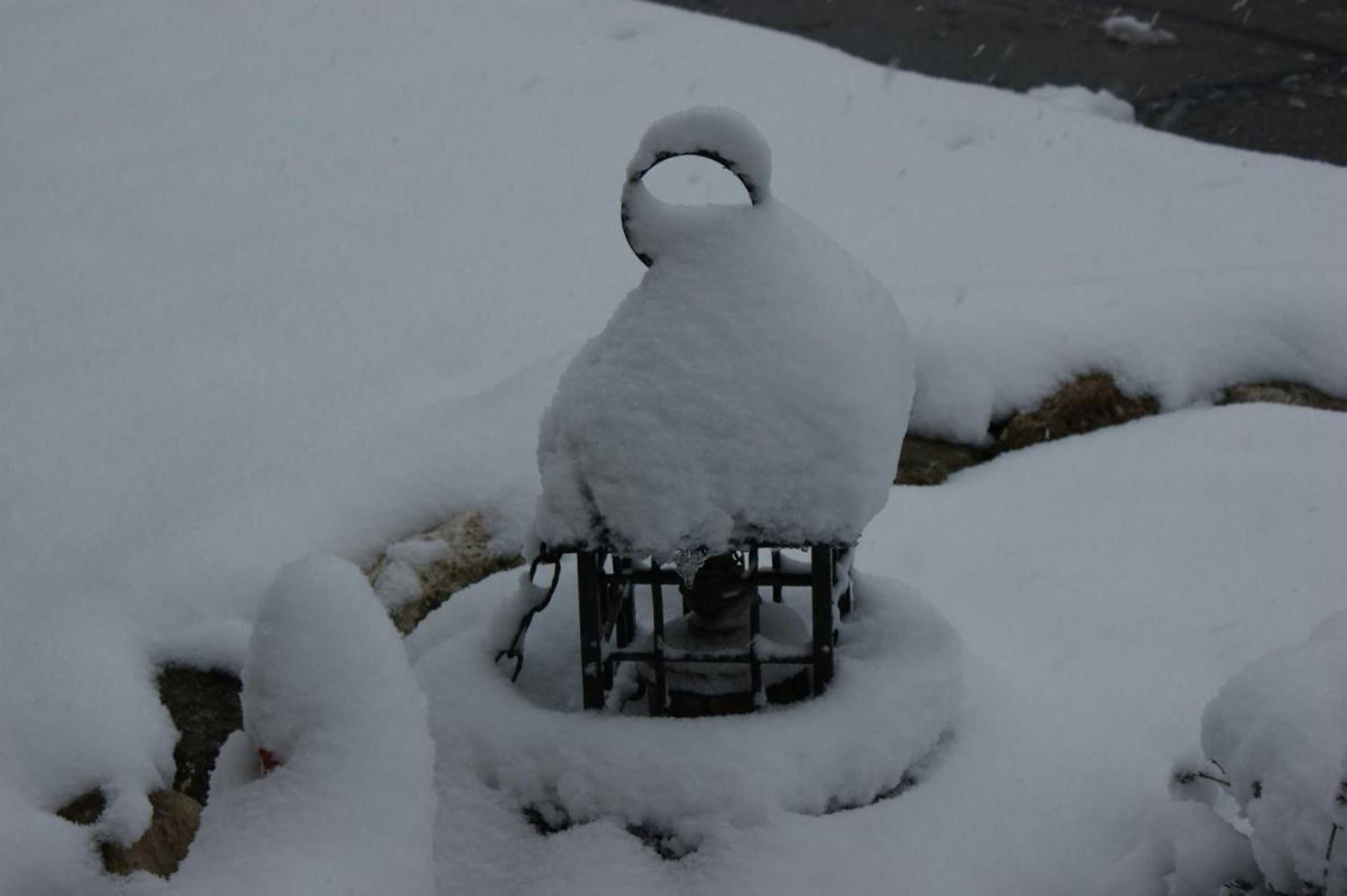 Gift card for Ferienwohnung Und B&b Chasa Janett