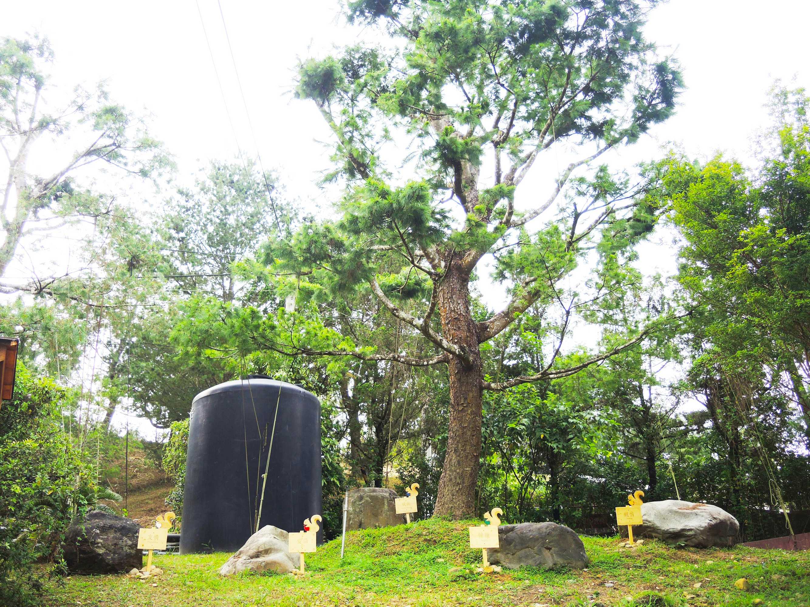 Gift card for The Deer Resort