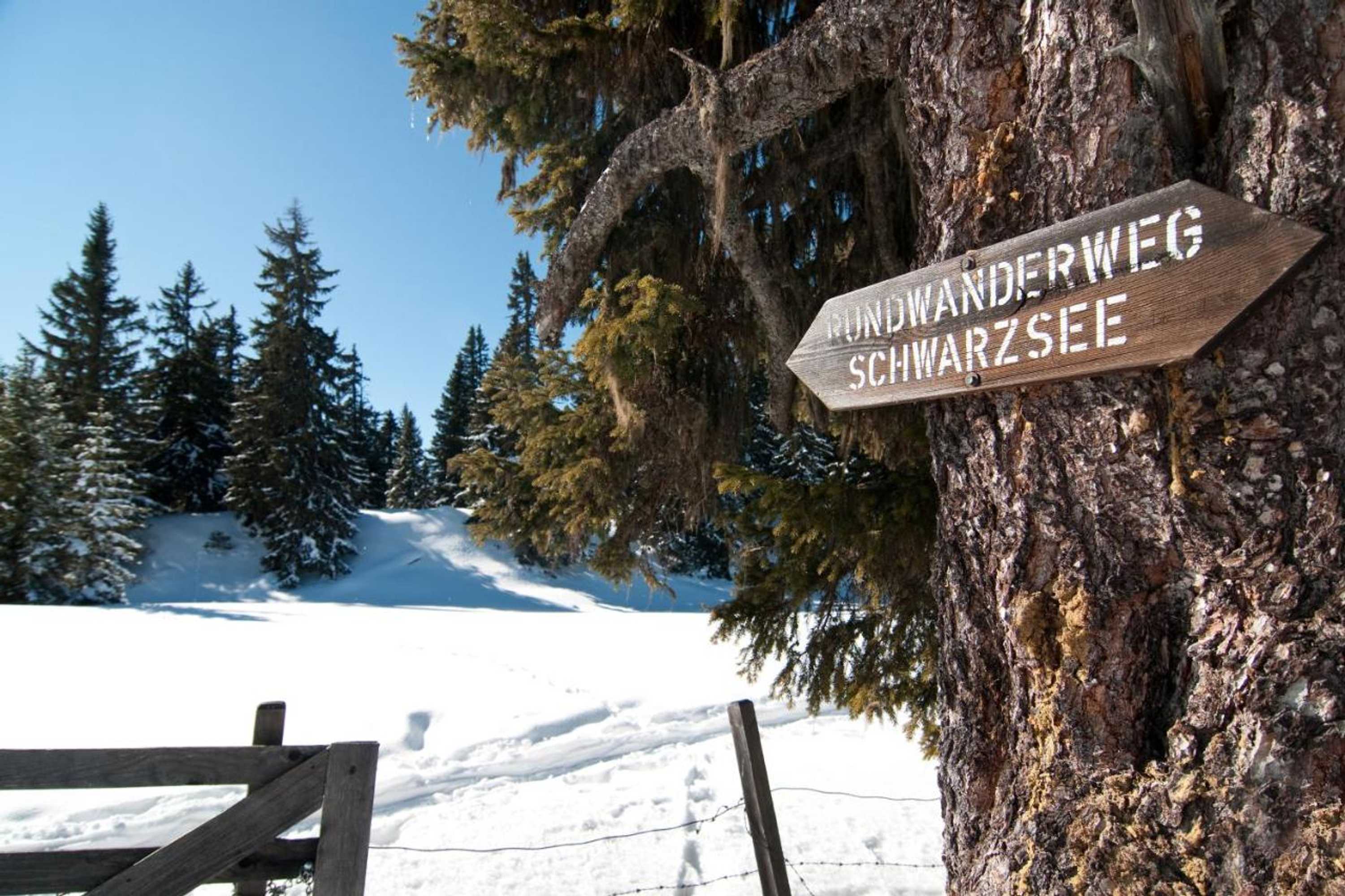 Gift card for Pension Almhof