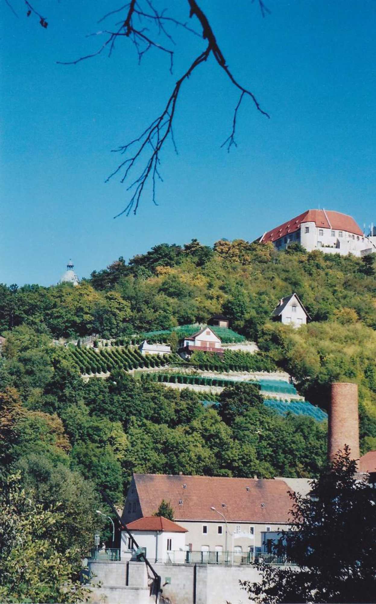 Gift card for Hotel Zum Rebstock