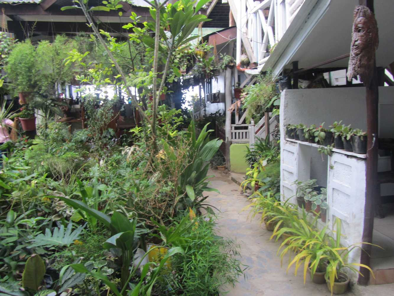 Gift card for Reddoorz @ Island Front Cottages El Nido Gift card for Reddoorz @ Island Front Cottages El Nido