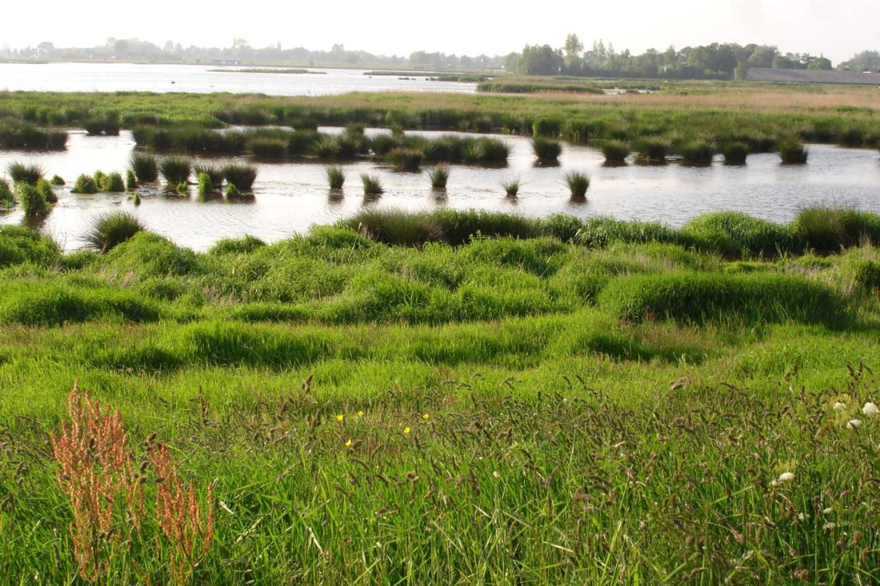 Gift card for Newhouse Logies