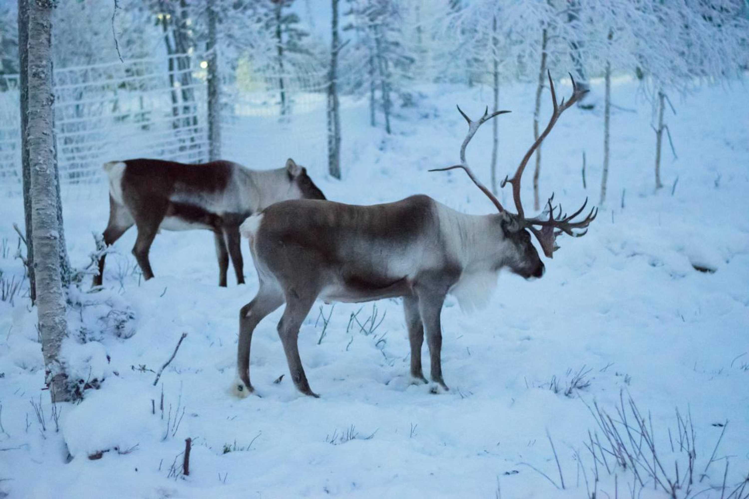 Gift card for Hideaway Cottage