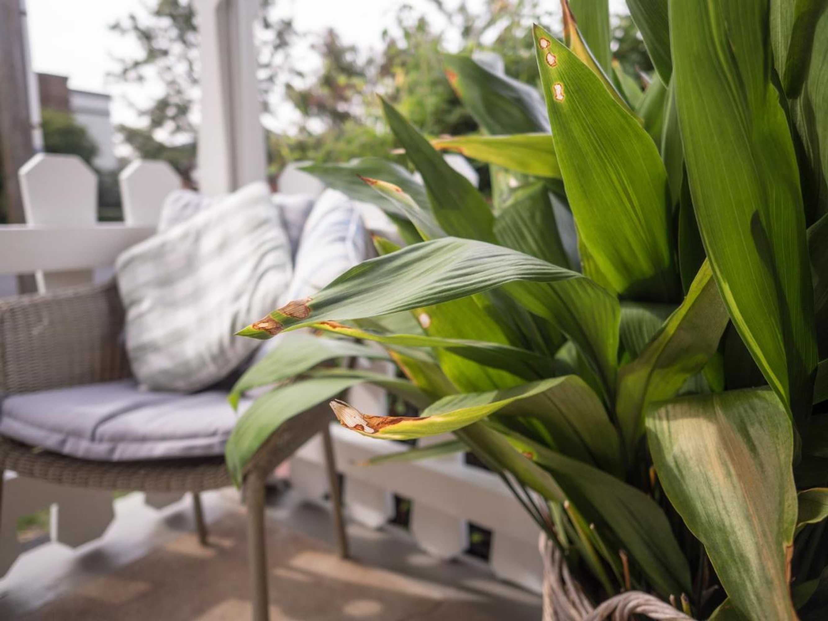 Gift card for Cottage 79