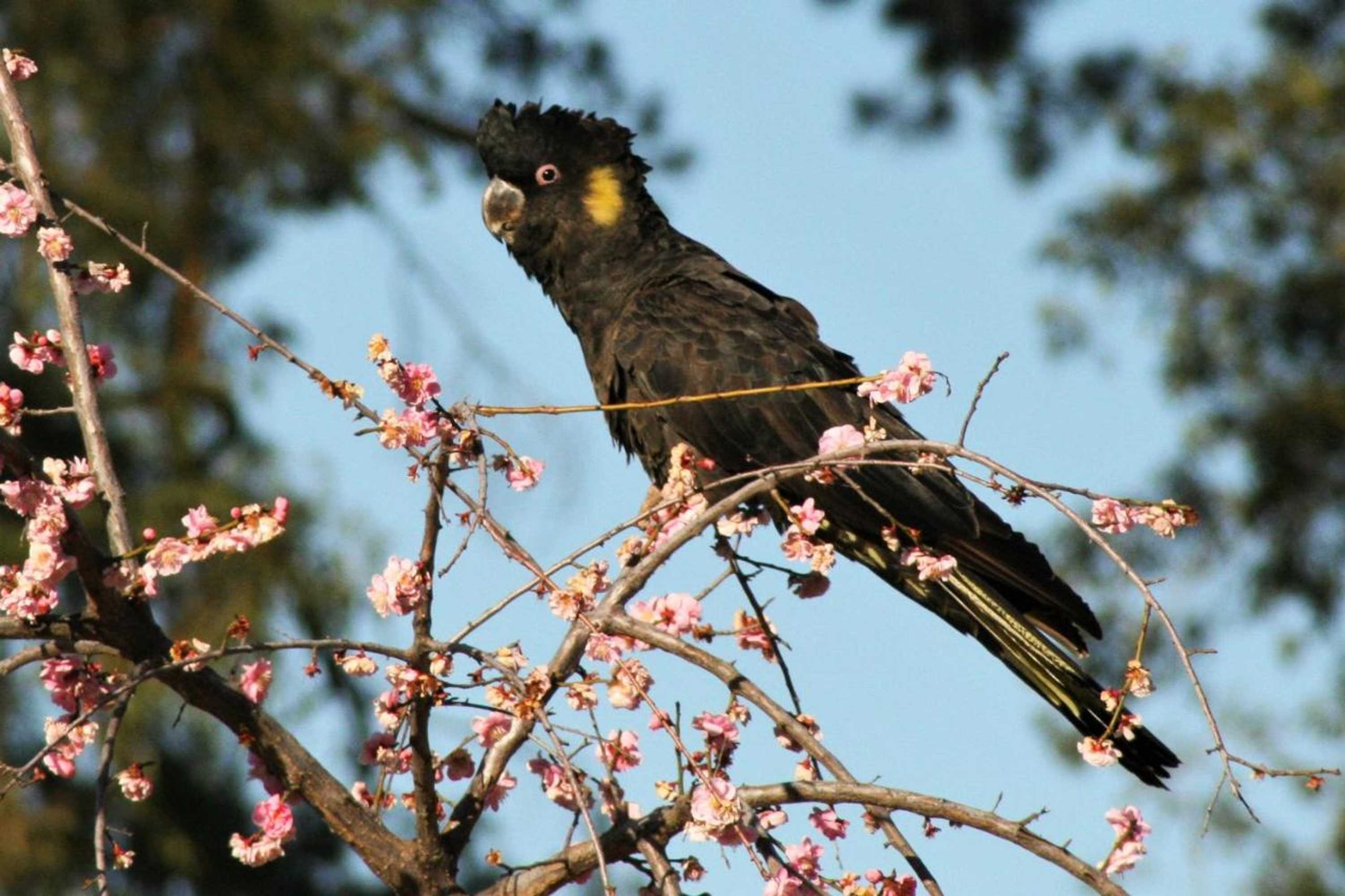 Gift card for Lakeview Luxury Retreat