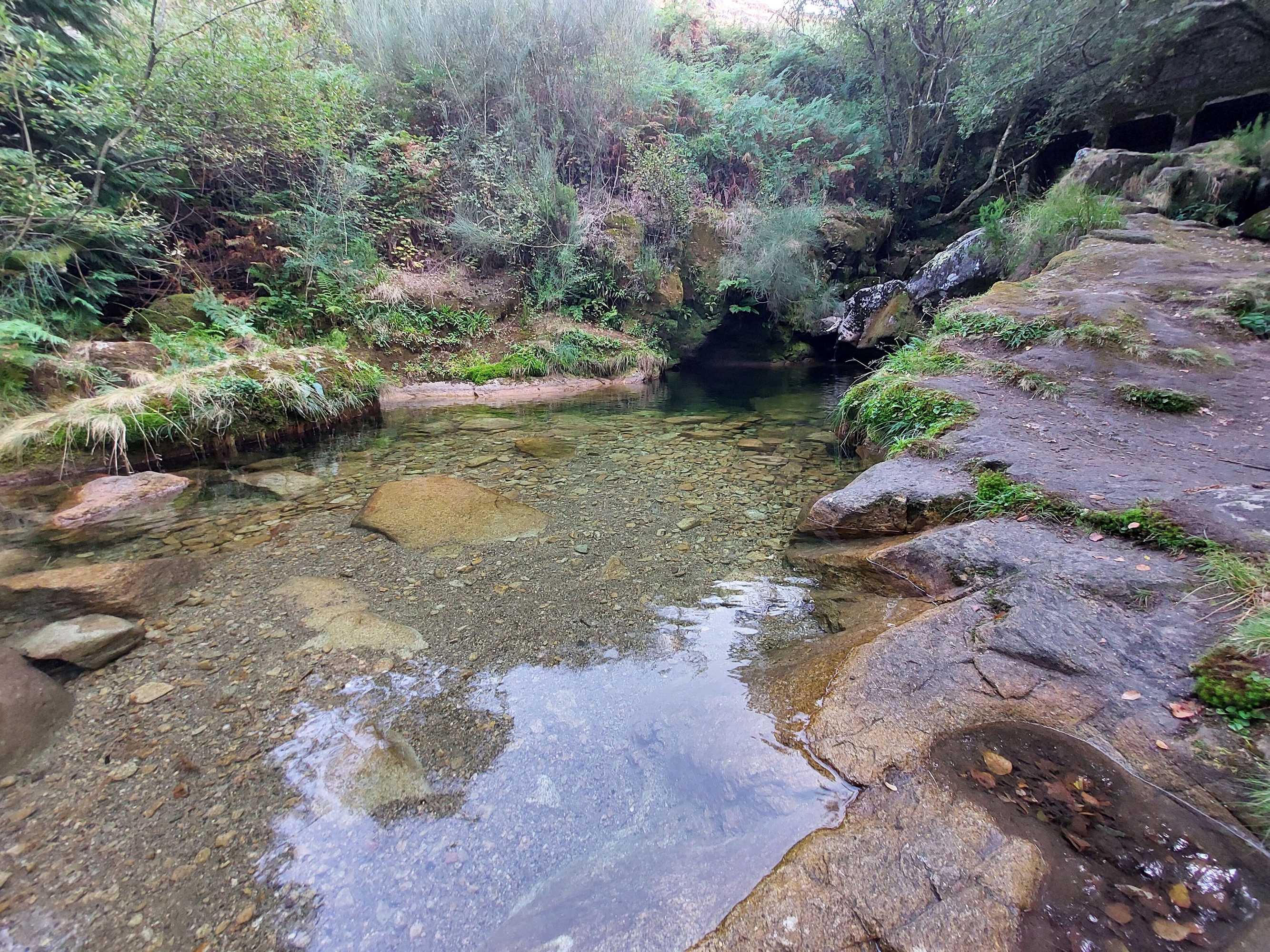 Gift card for Quinta da Roda - Nature And Wellness Gift card for Quinta da Roda - Nature And Wellness