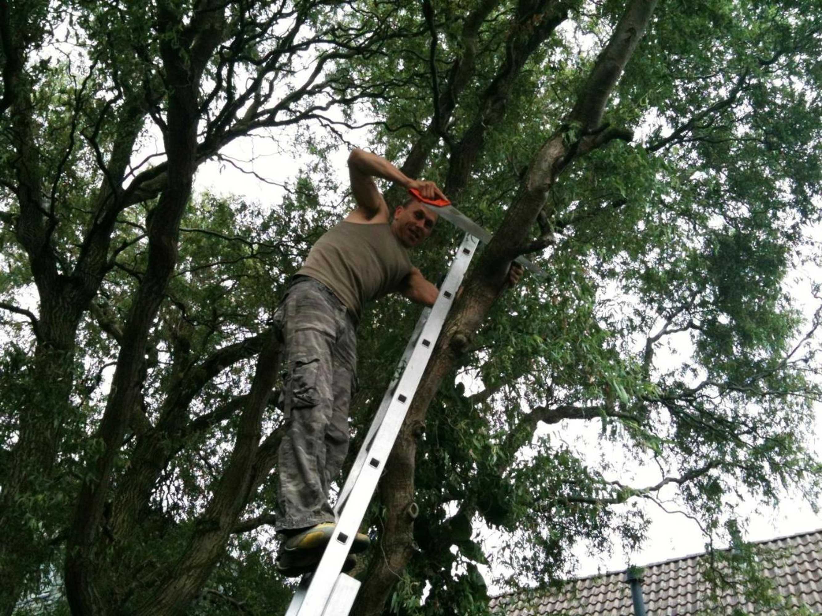 Gift card for Frank's Backpackers