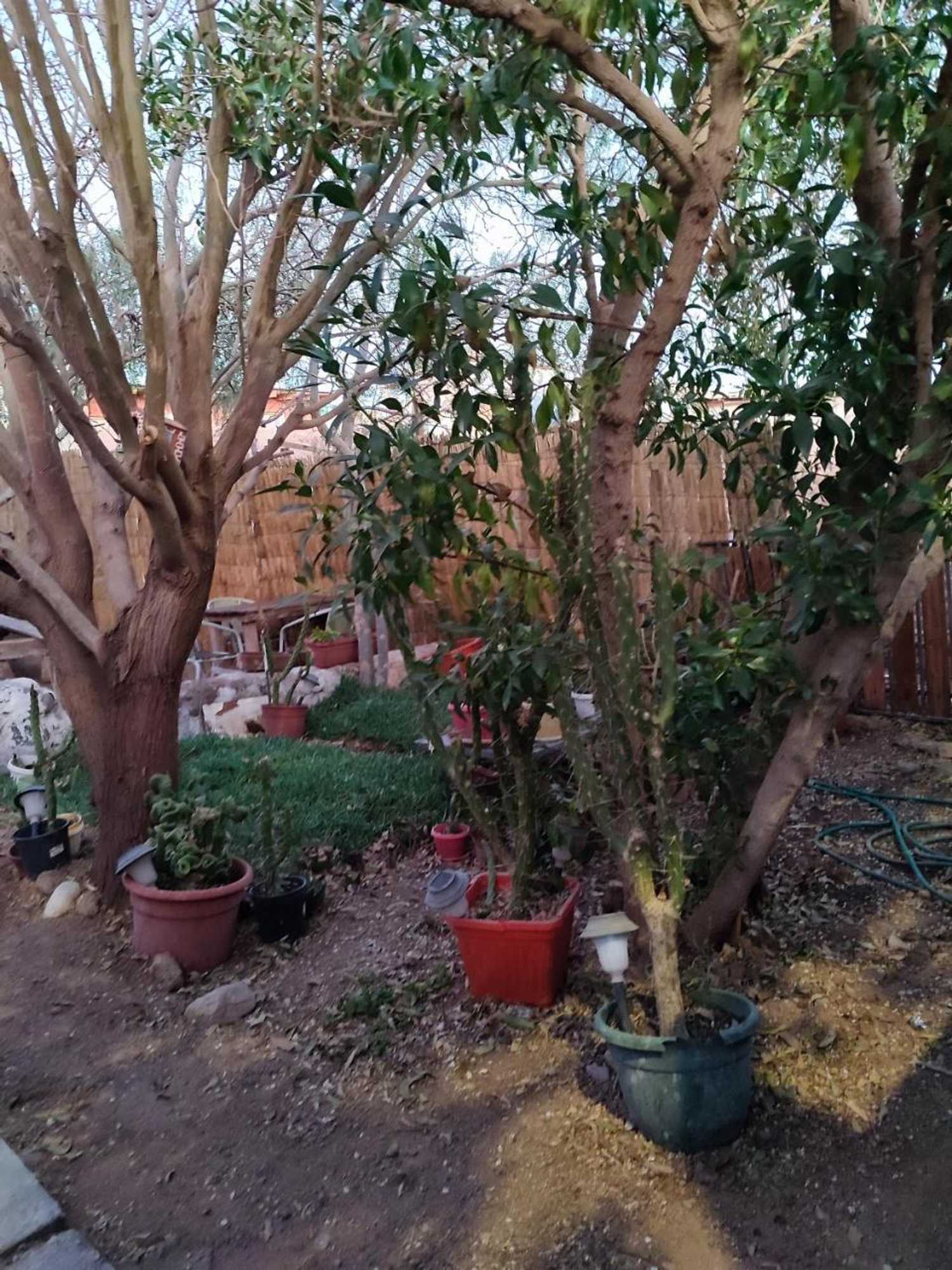 Gift card for Cabañas Tambo Norte