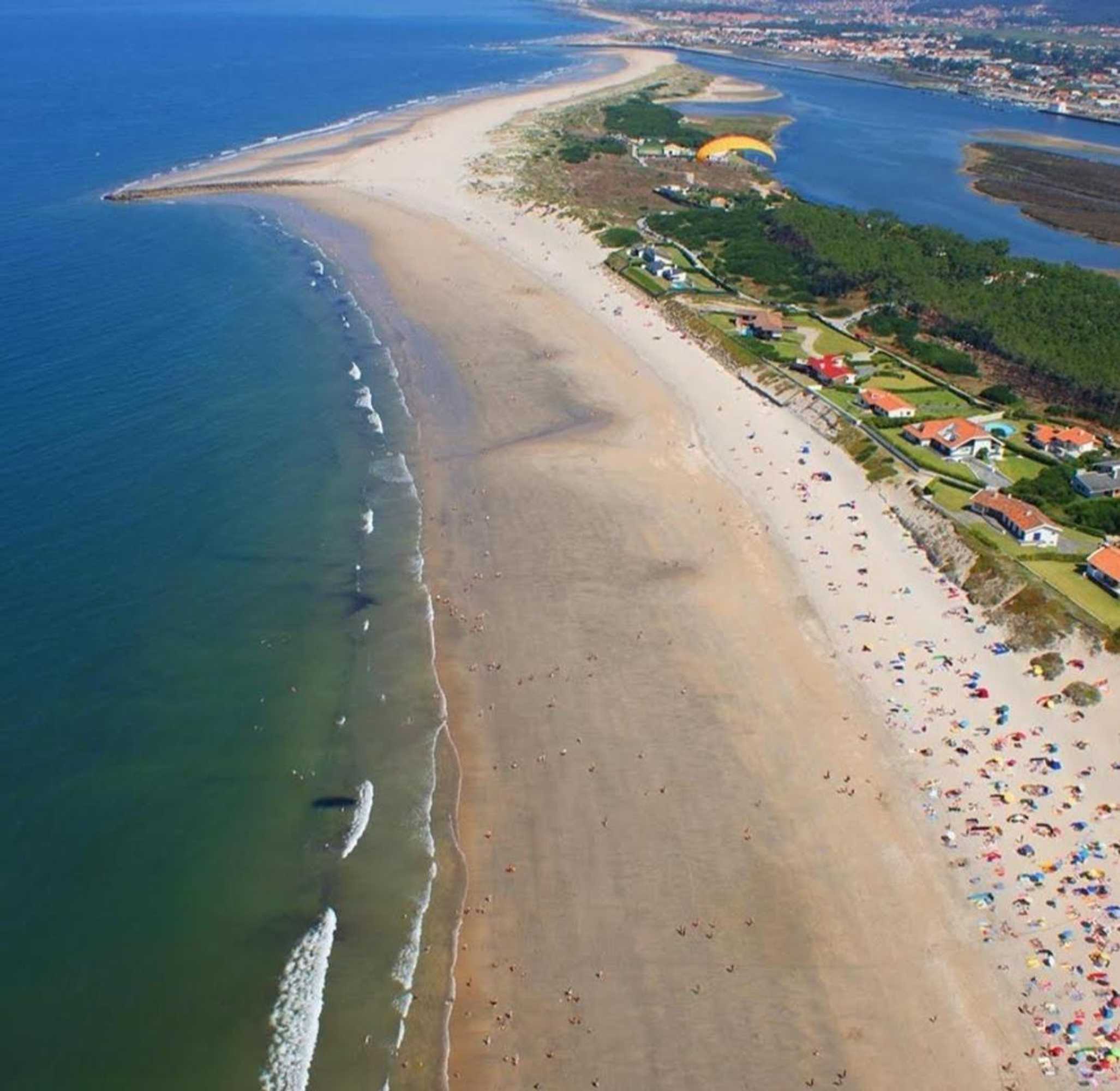 Gift card for Casa Colmeia