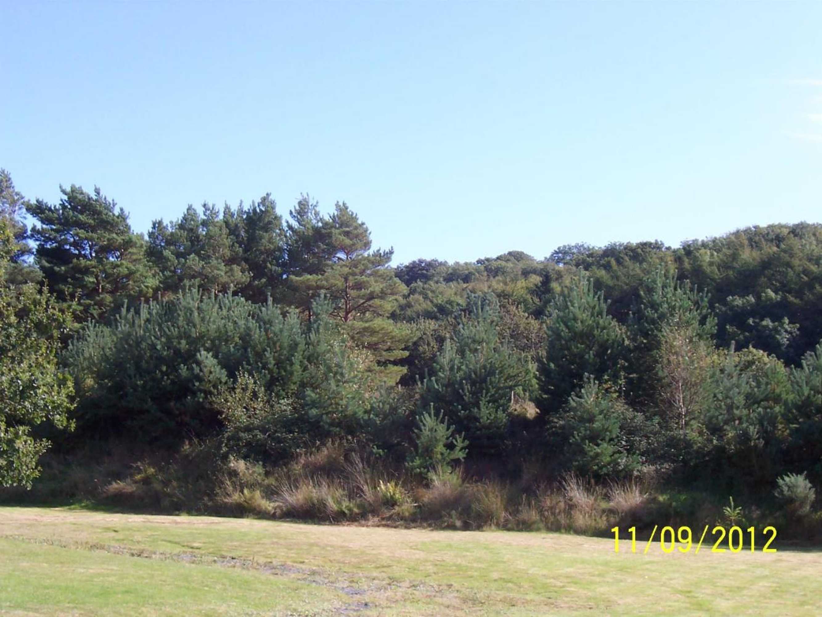 Gift card for Jonti Bed And Breakfast