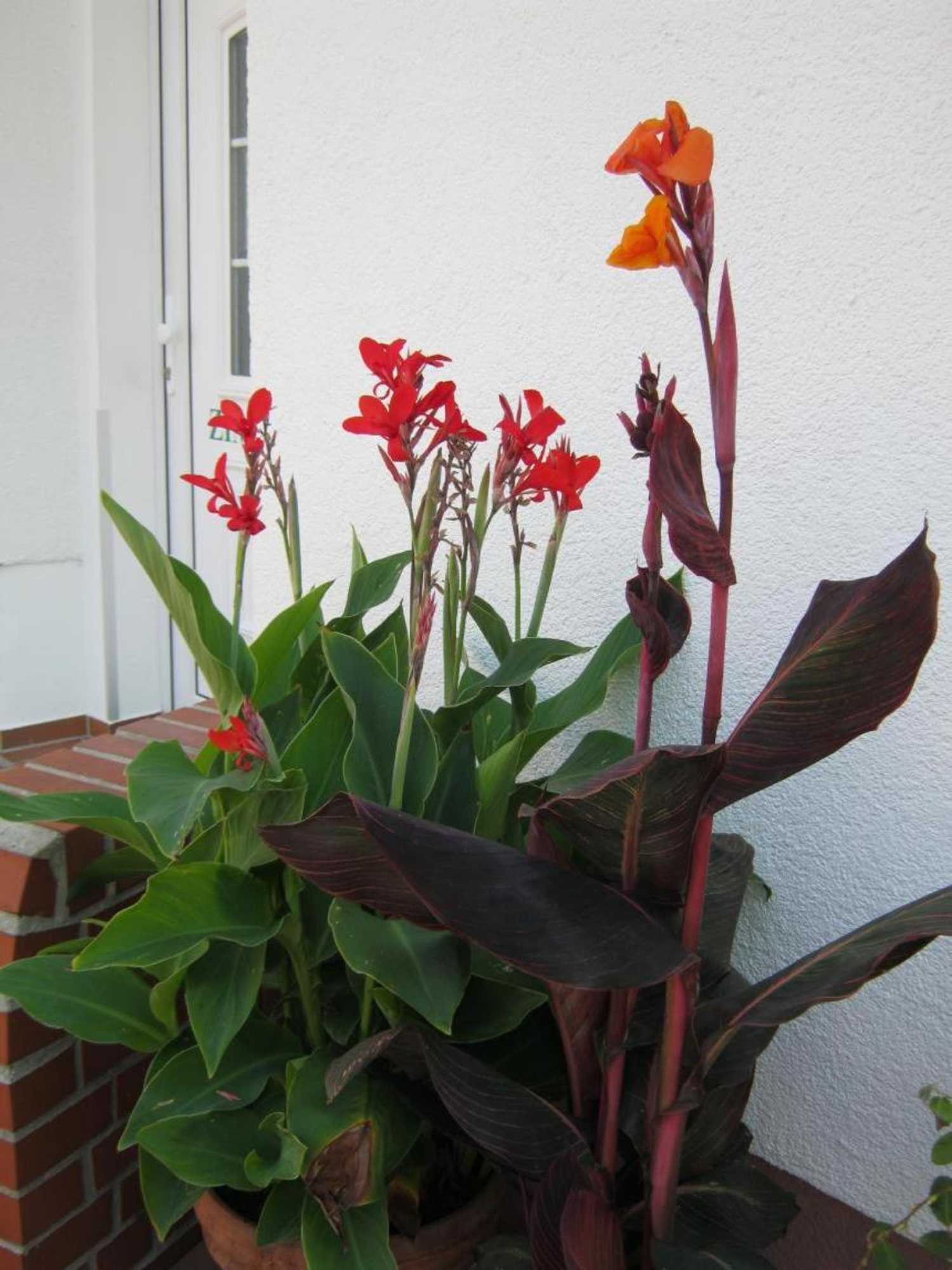 Gift card for Hotel Landhaus Nassau