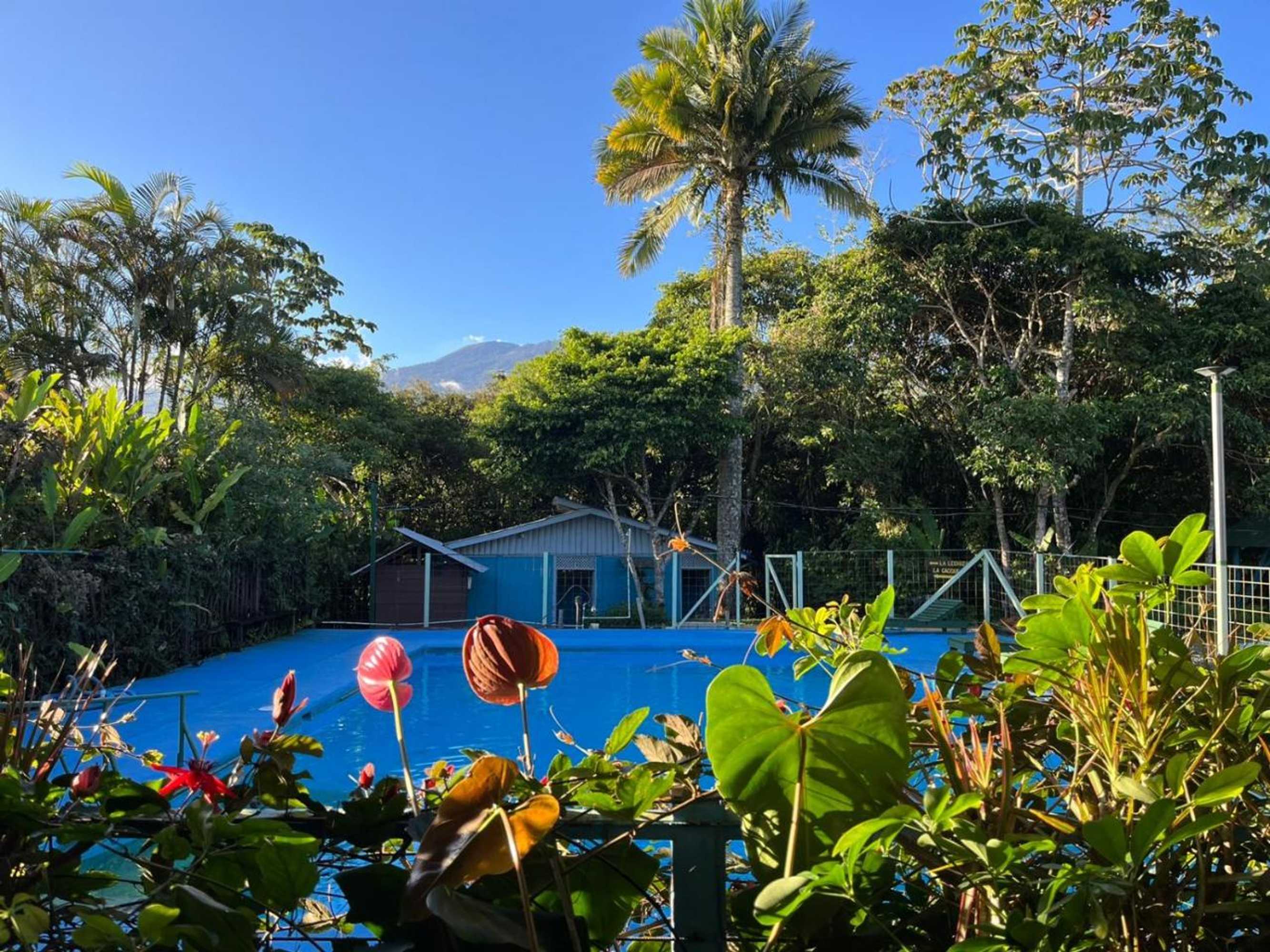 Gift card for Cabañas el Bosque Gift card for Cabañas el Bosque