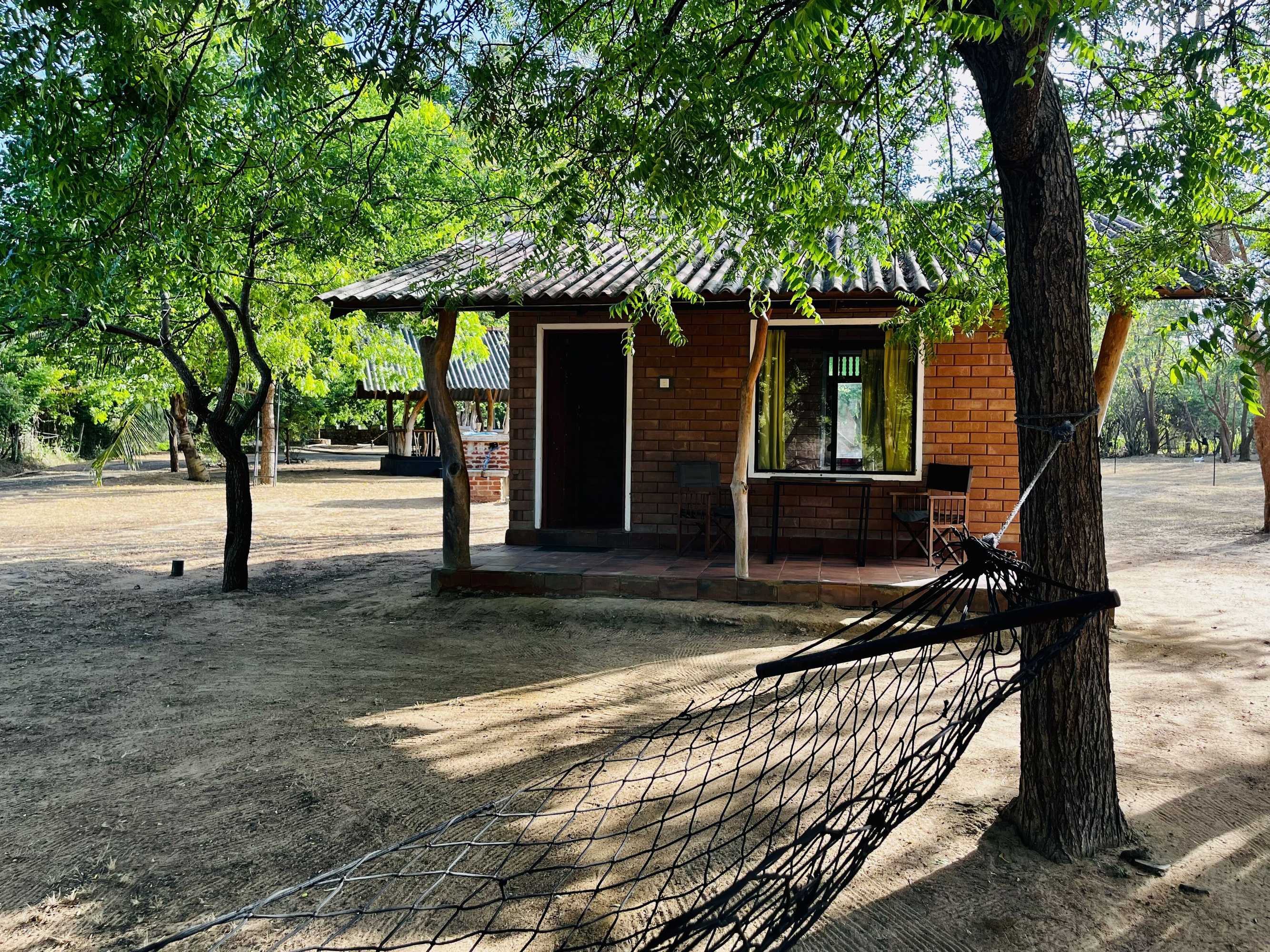 Gift card for Funky Leopard Safari Lodge Bordering Yala National Park - Hostel Gift card for Funky Leopard Safari Lodge Bordering Yala National Park - Hostel