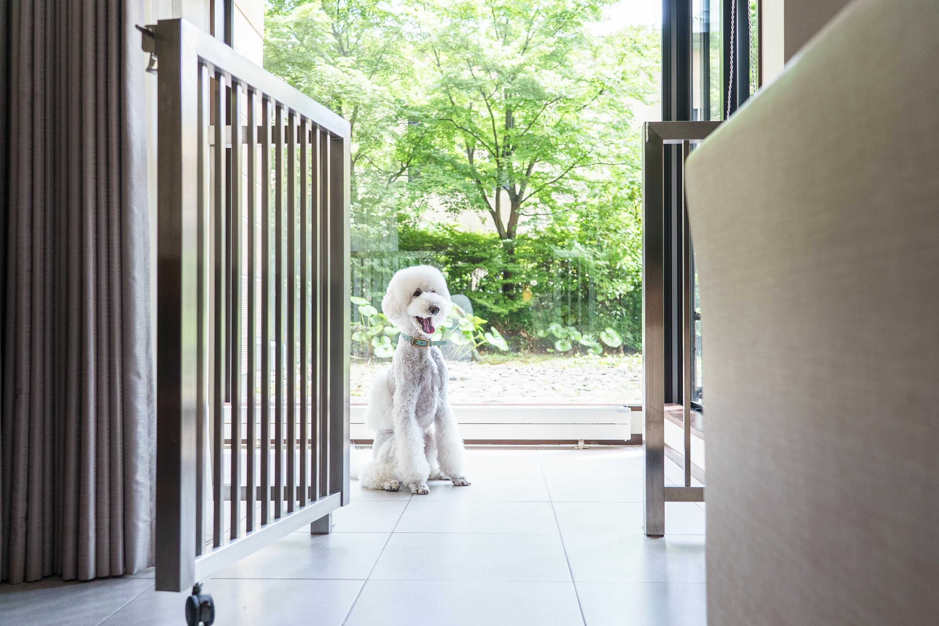 Gift card for Hyatt Regency Hakone Resort And Spa