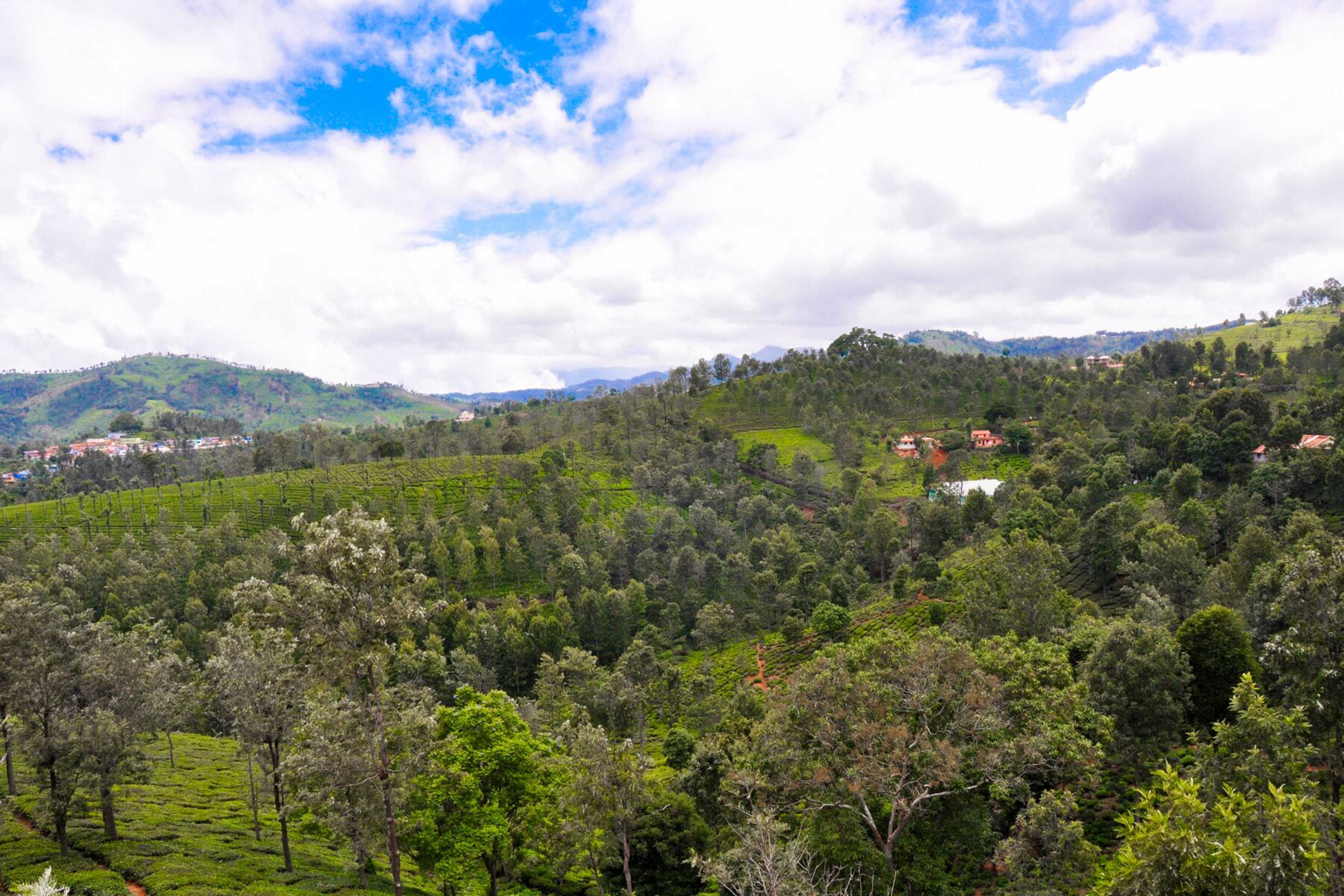 Gift card for Sunvalley Homestay Gift card for Sunvalley Homestay