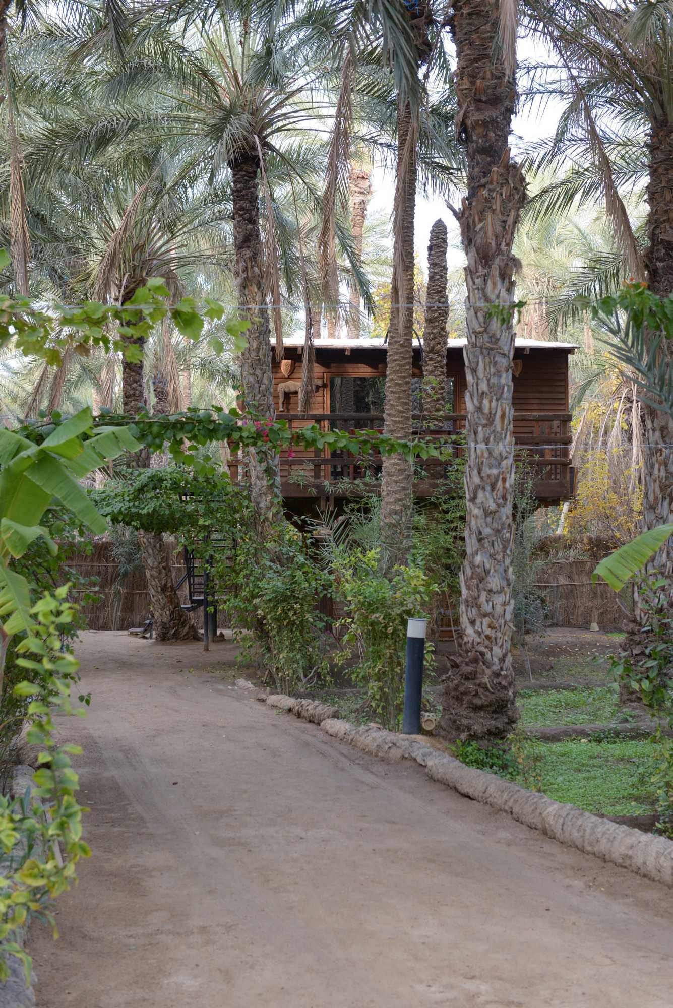 Gift card for Hotel Diar Abou Habibi