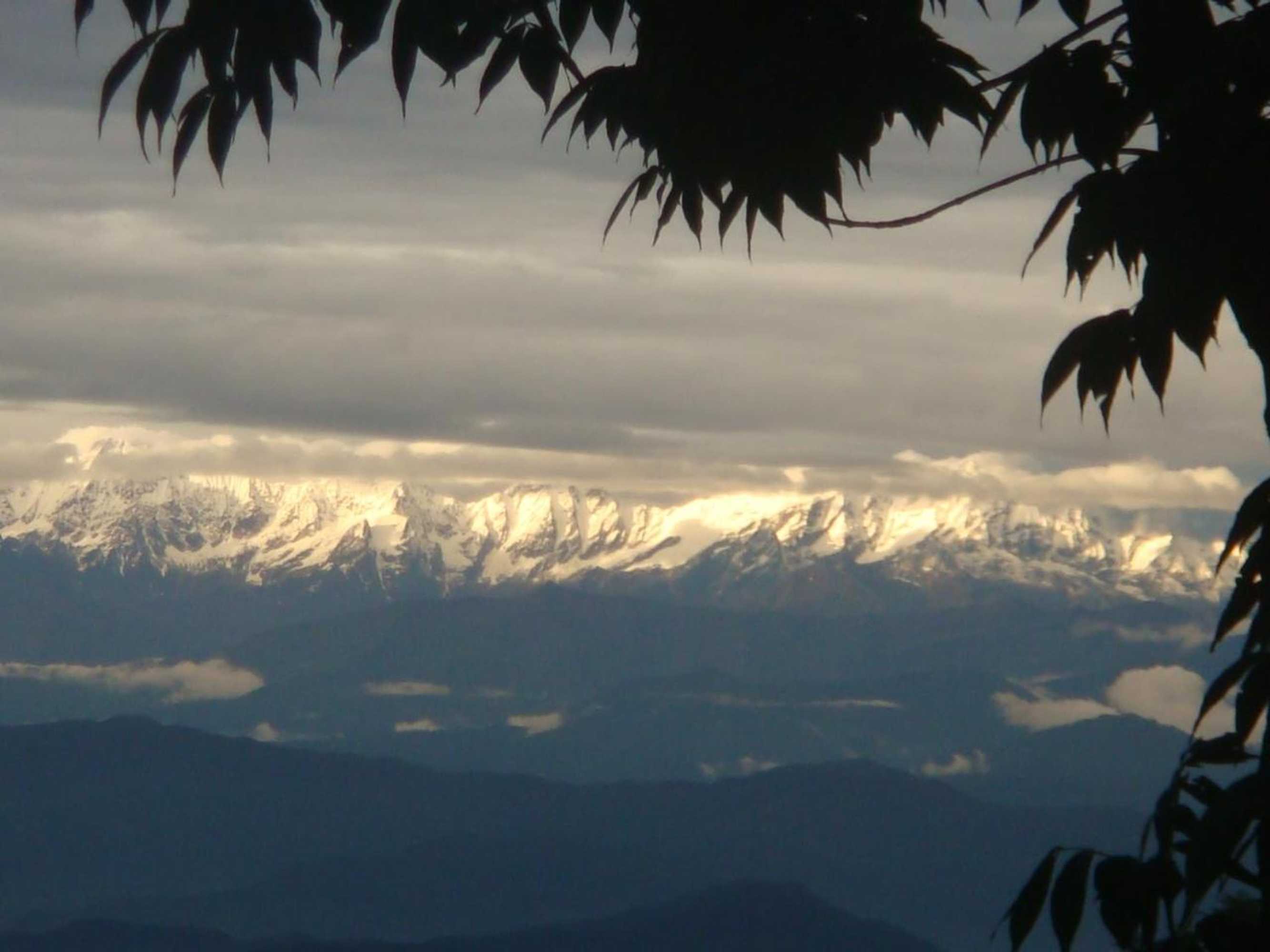 Gift card for Shiva Guest House