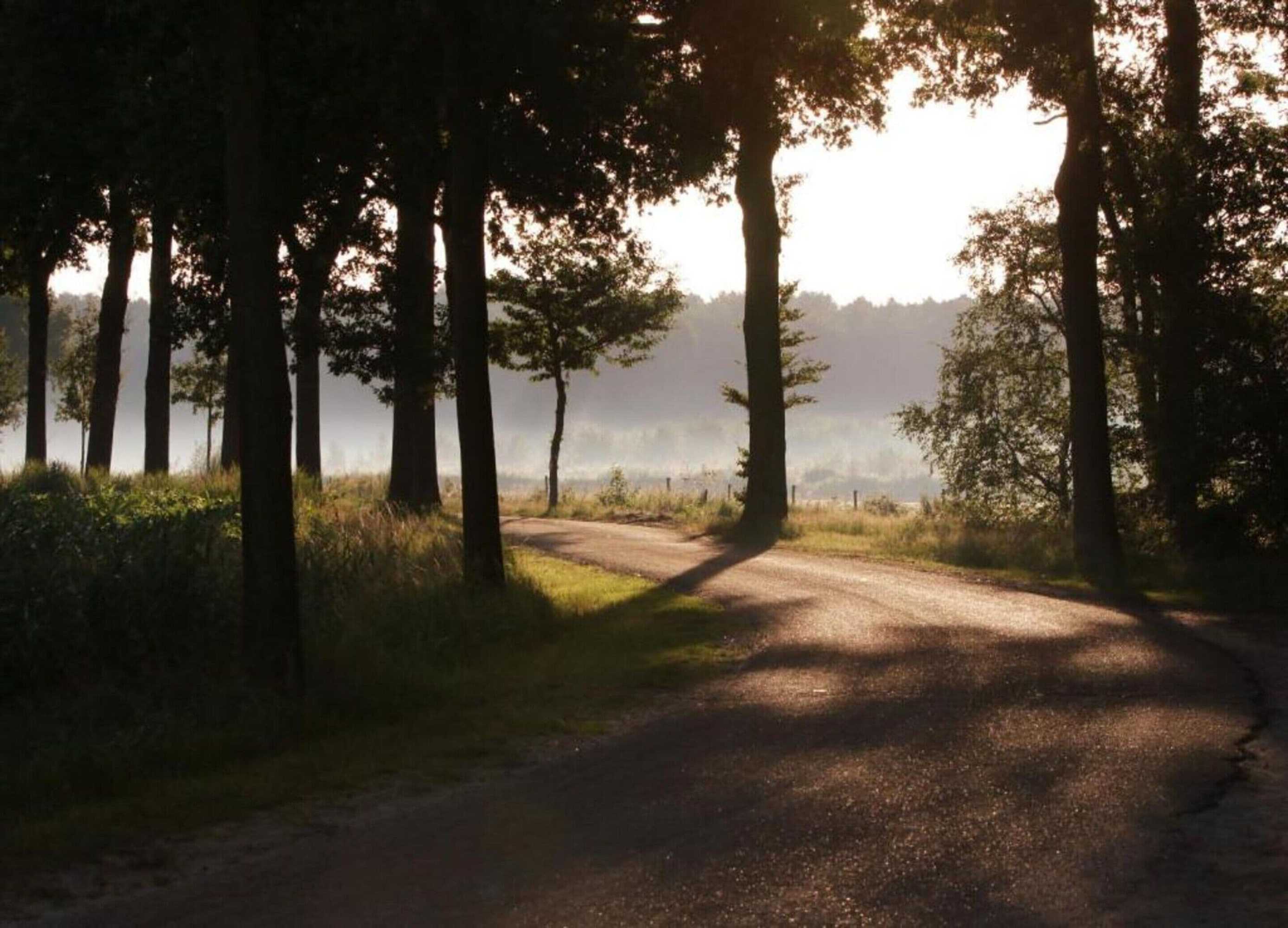 Gift card for Chalet in Eindhoven Near Bospark 't Wolfsven Gift card for Chalet in Eindhoven Near Bospark 't Wolfsven