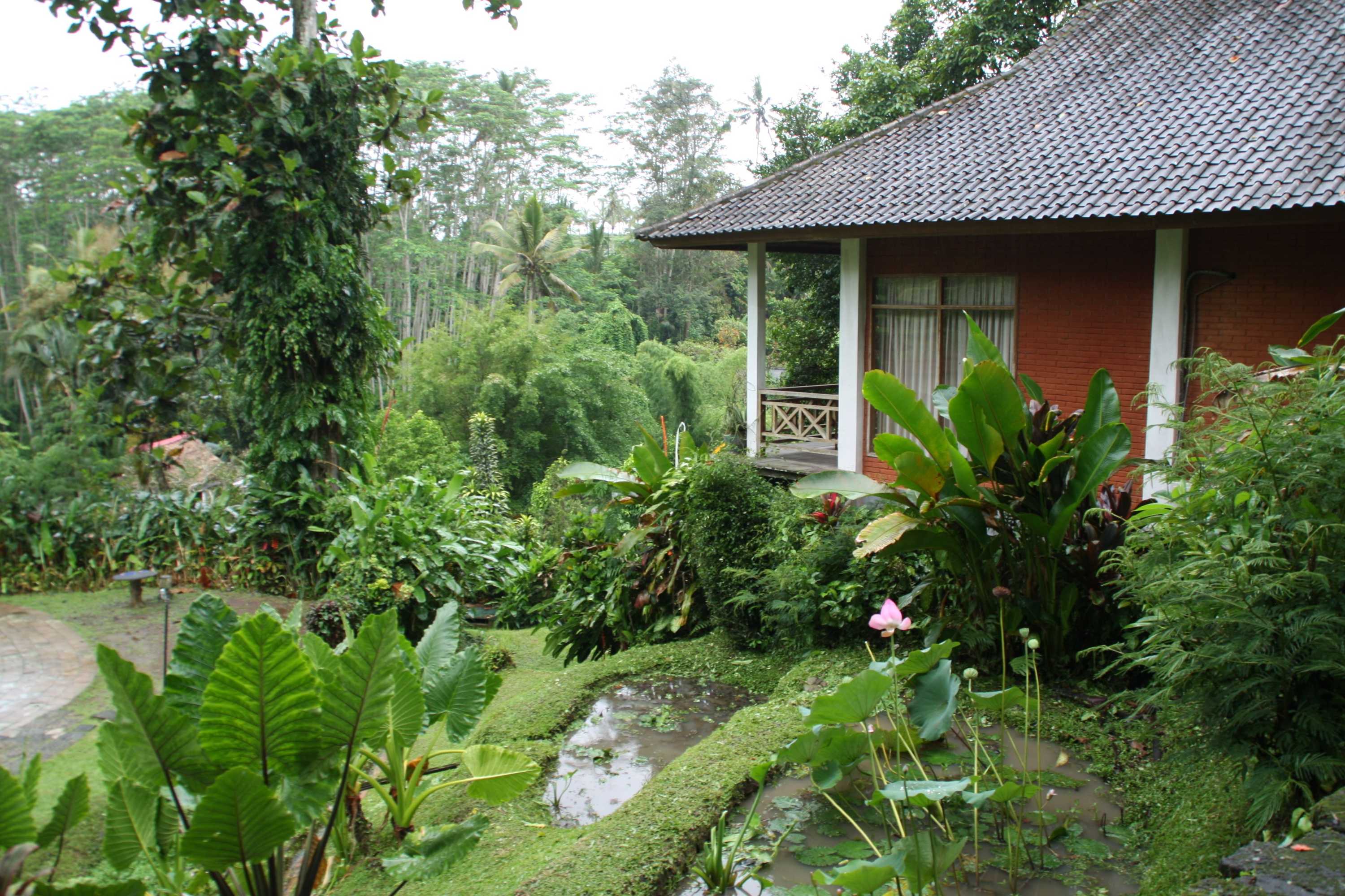Gift card for Yeh Panes Bali Gift card for Yeh Panes Bali