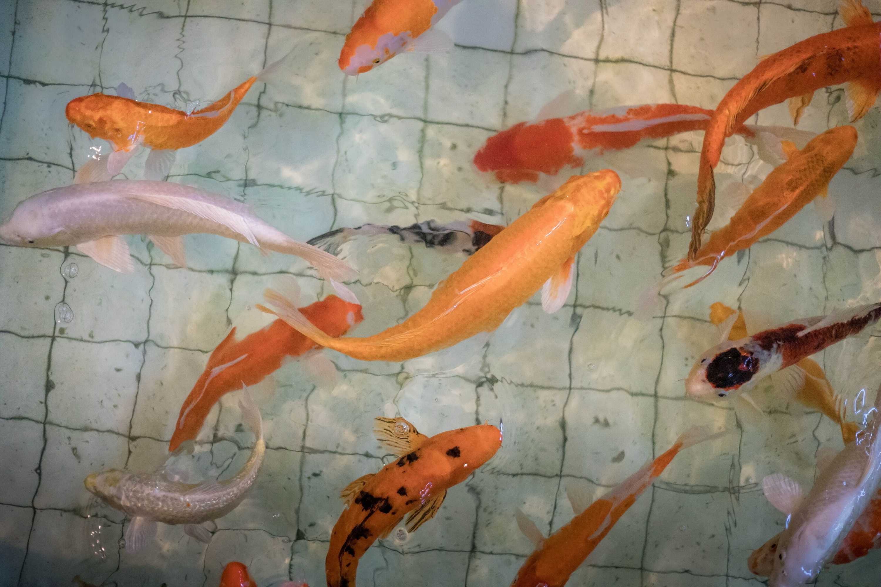 Gift card for Wangtai Hotel