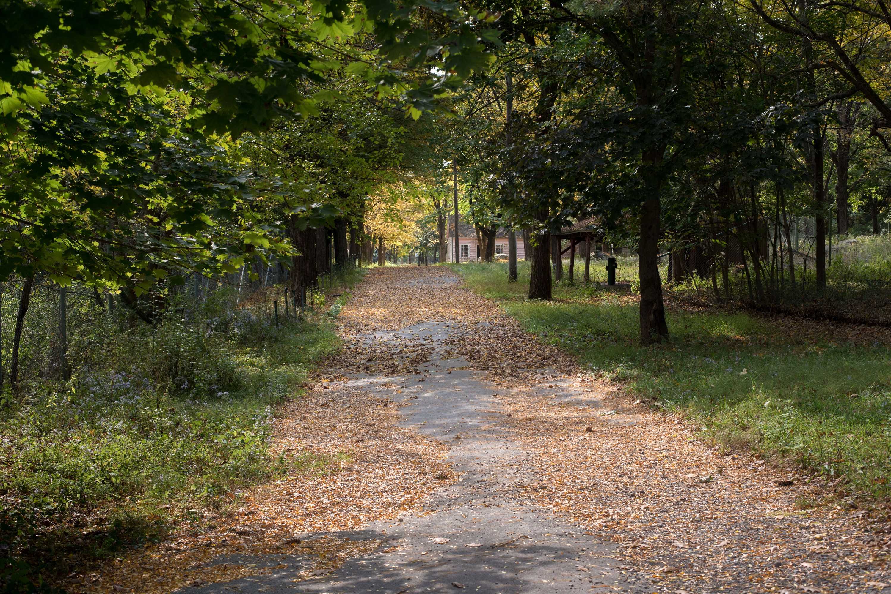 Gift card for The Old Catskill Game Farm Inn