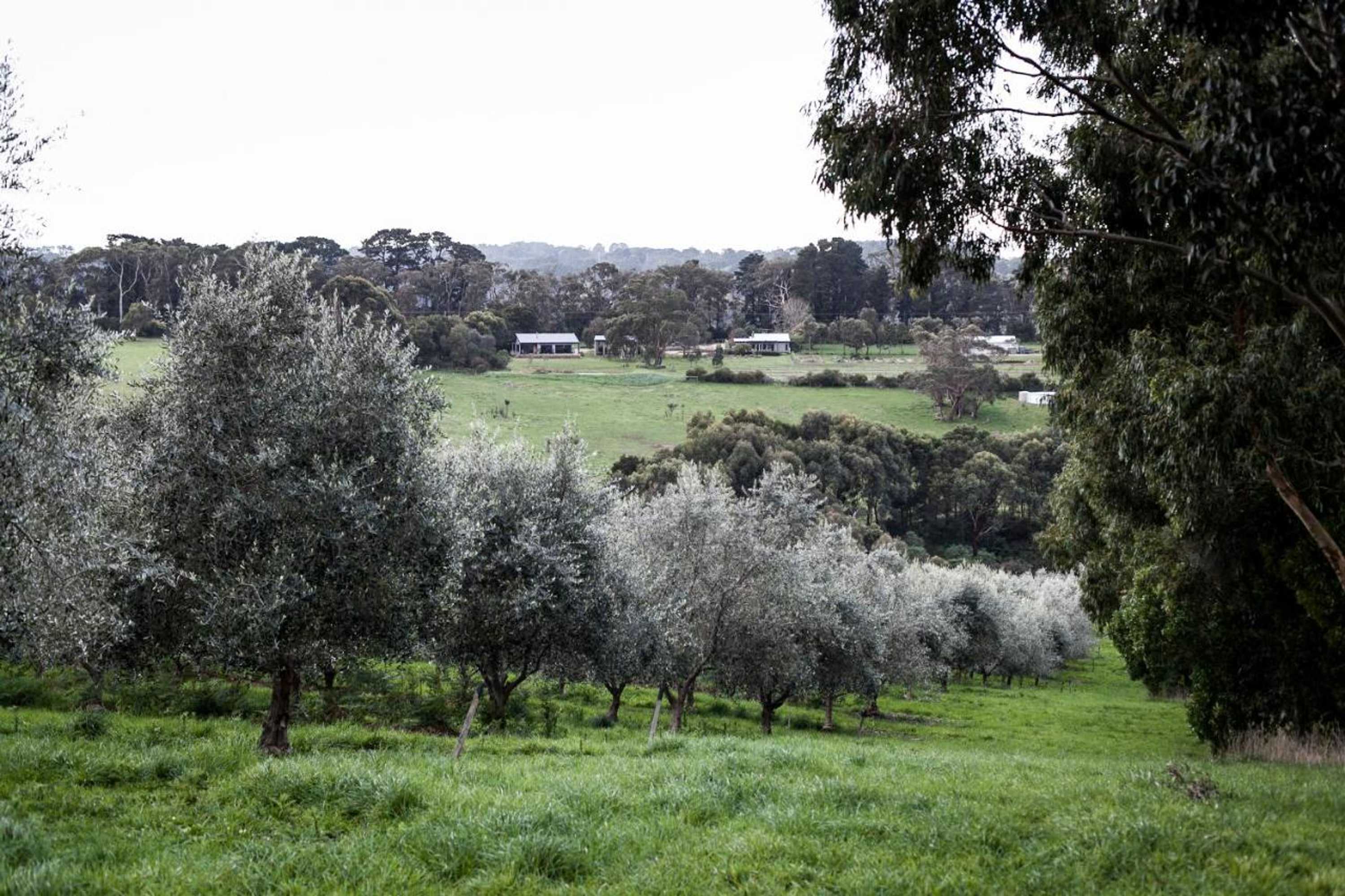 Gift card for Hart's Farm