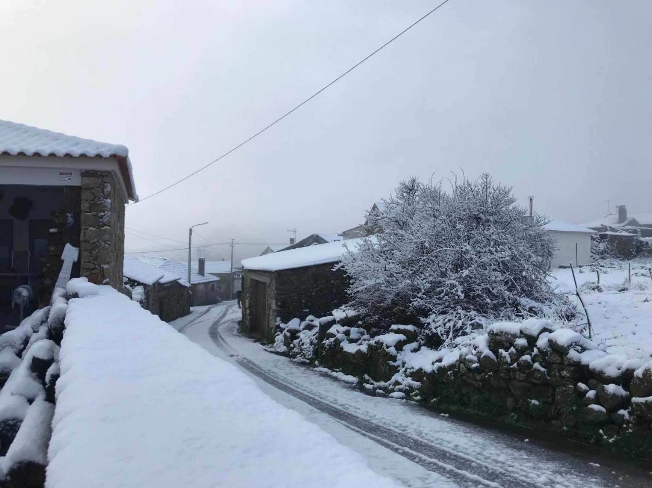 Gift card for Quinchoso Dos Bentos