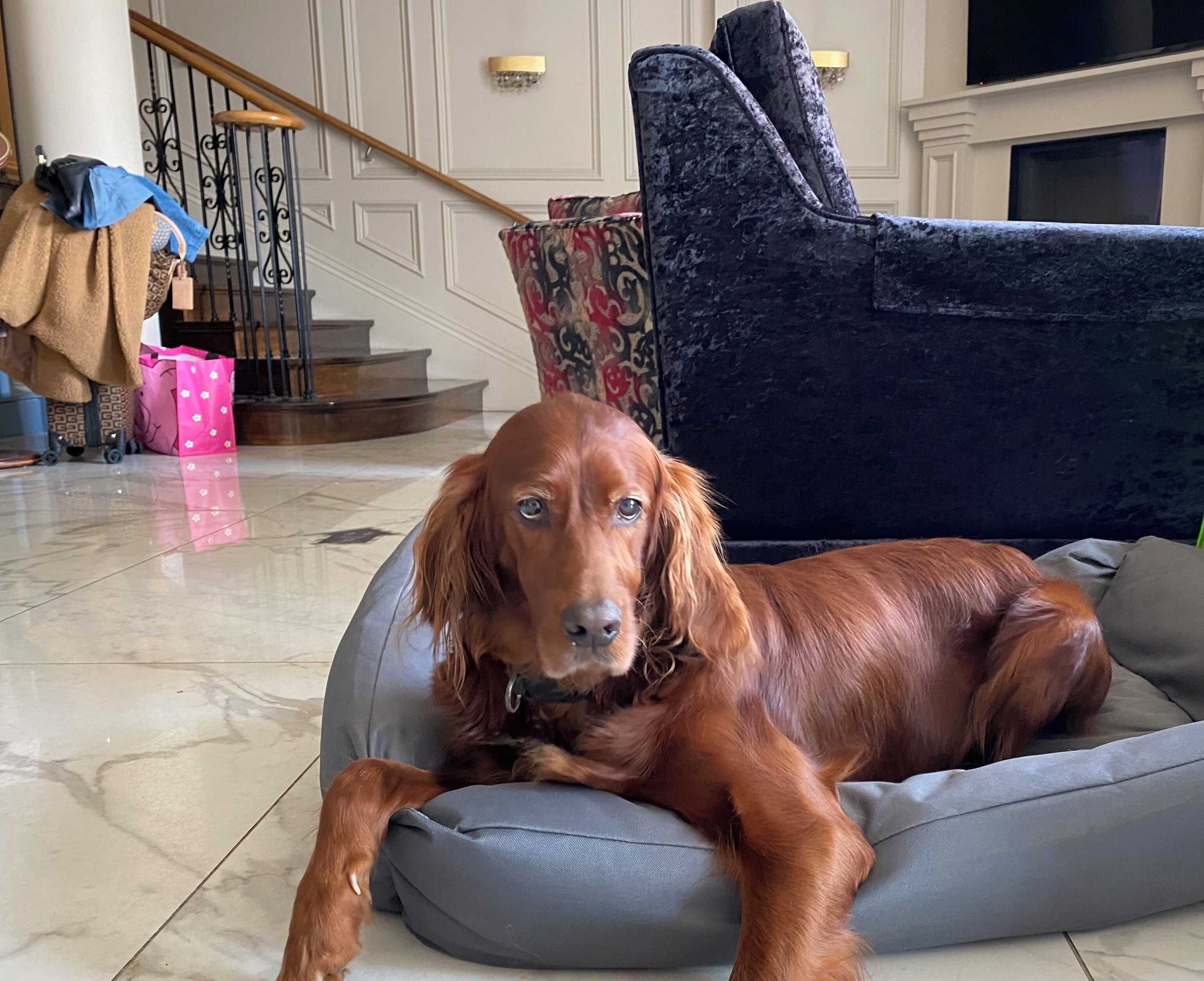 Gift card for The Fairview Boutique Hotel